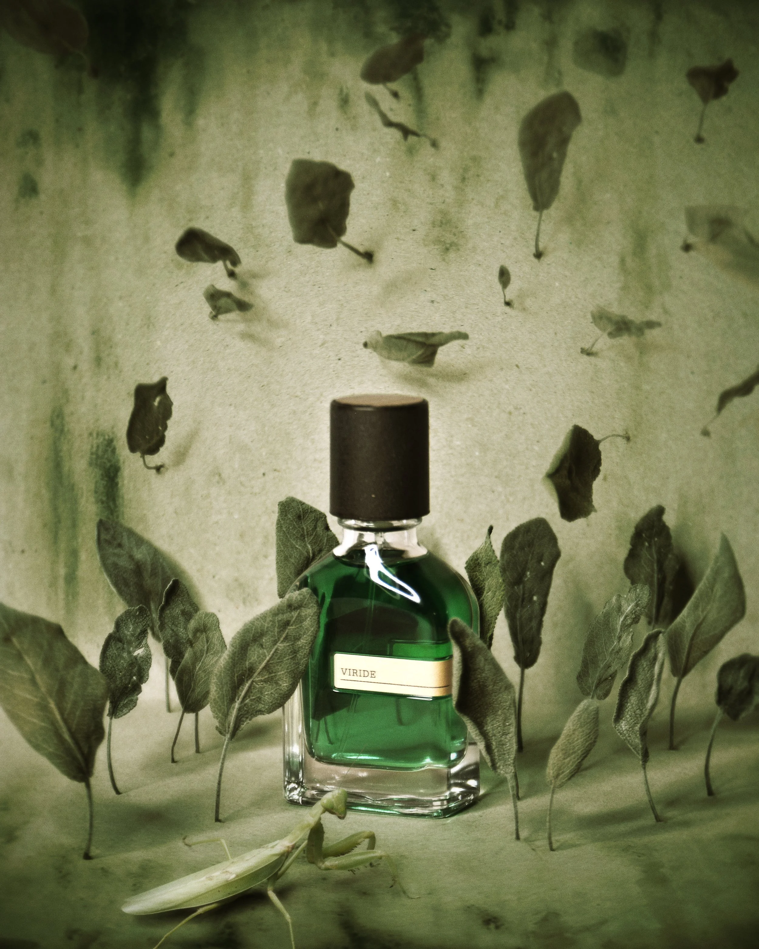 Orto Parisi-Content-Praying Mantis-Viride.jpg