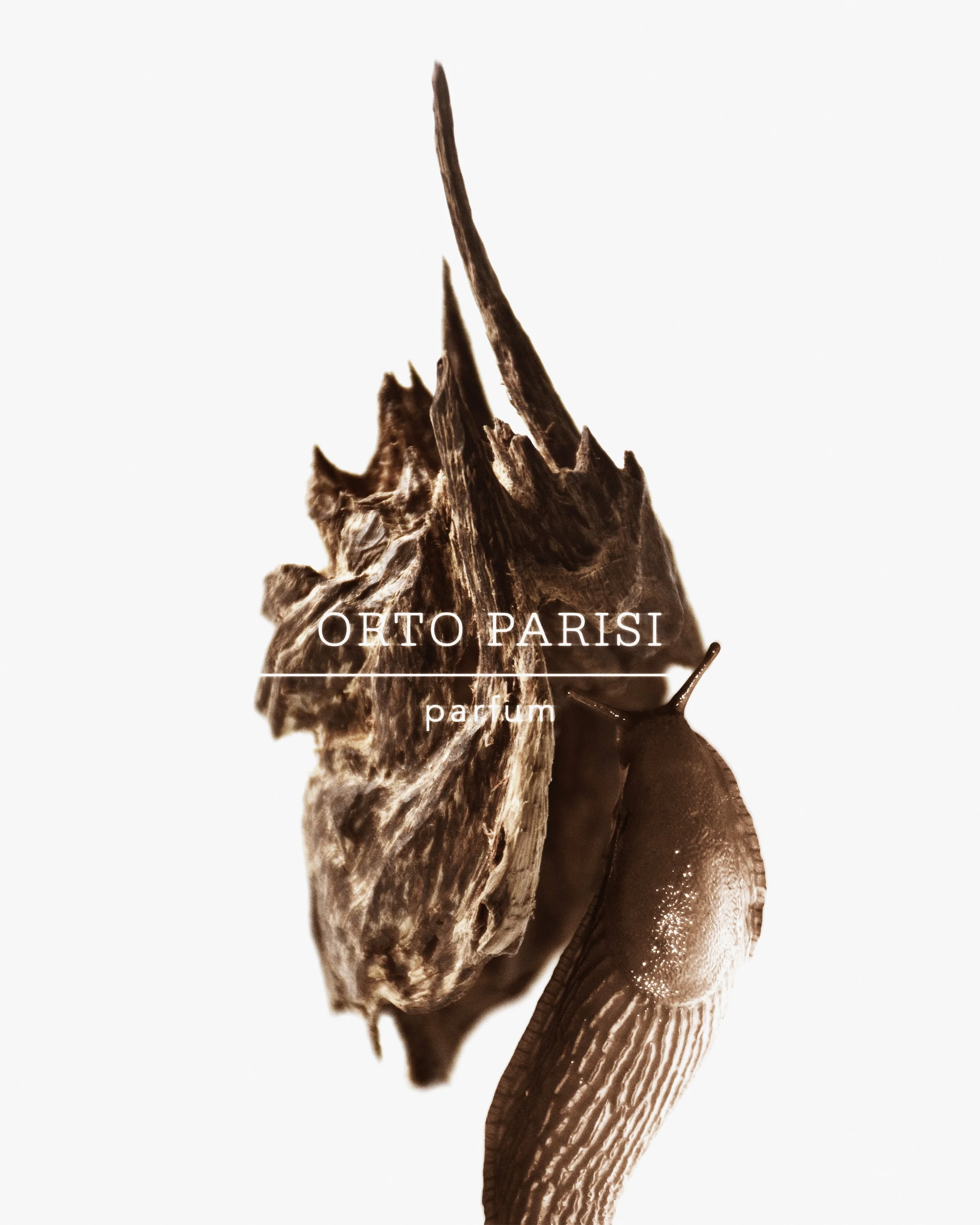 Orto Parisi-Content-Oudh.jpg