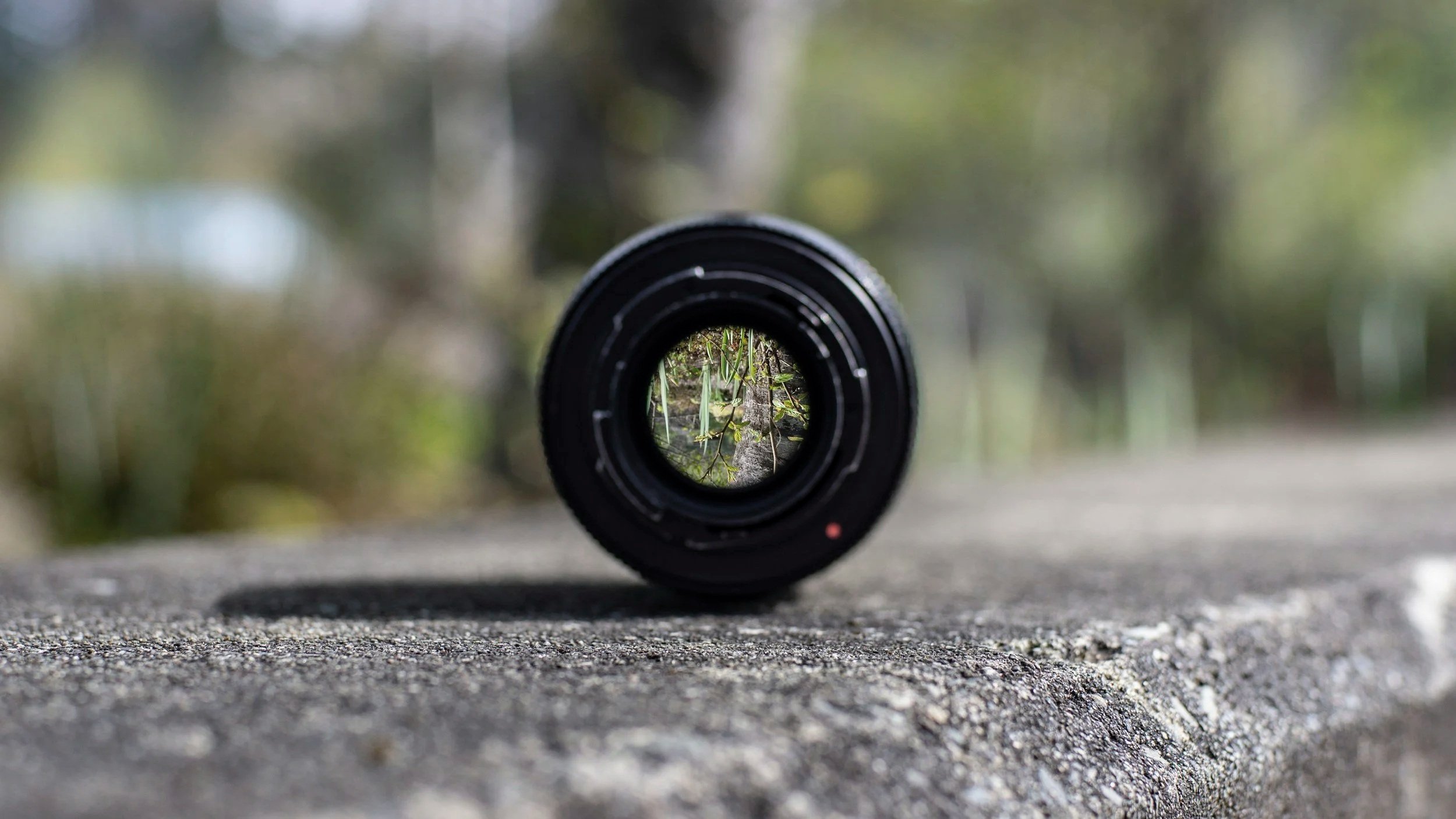 Camera lens viewed from the front, capturing a scene of green foliage and a tree through its center, resting on a textured concrete surface outdoors.