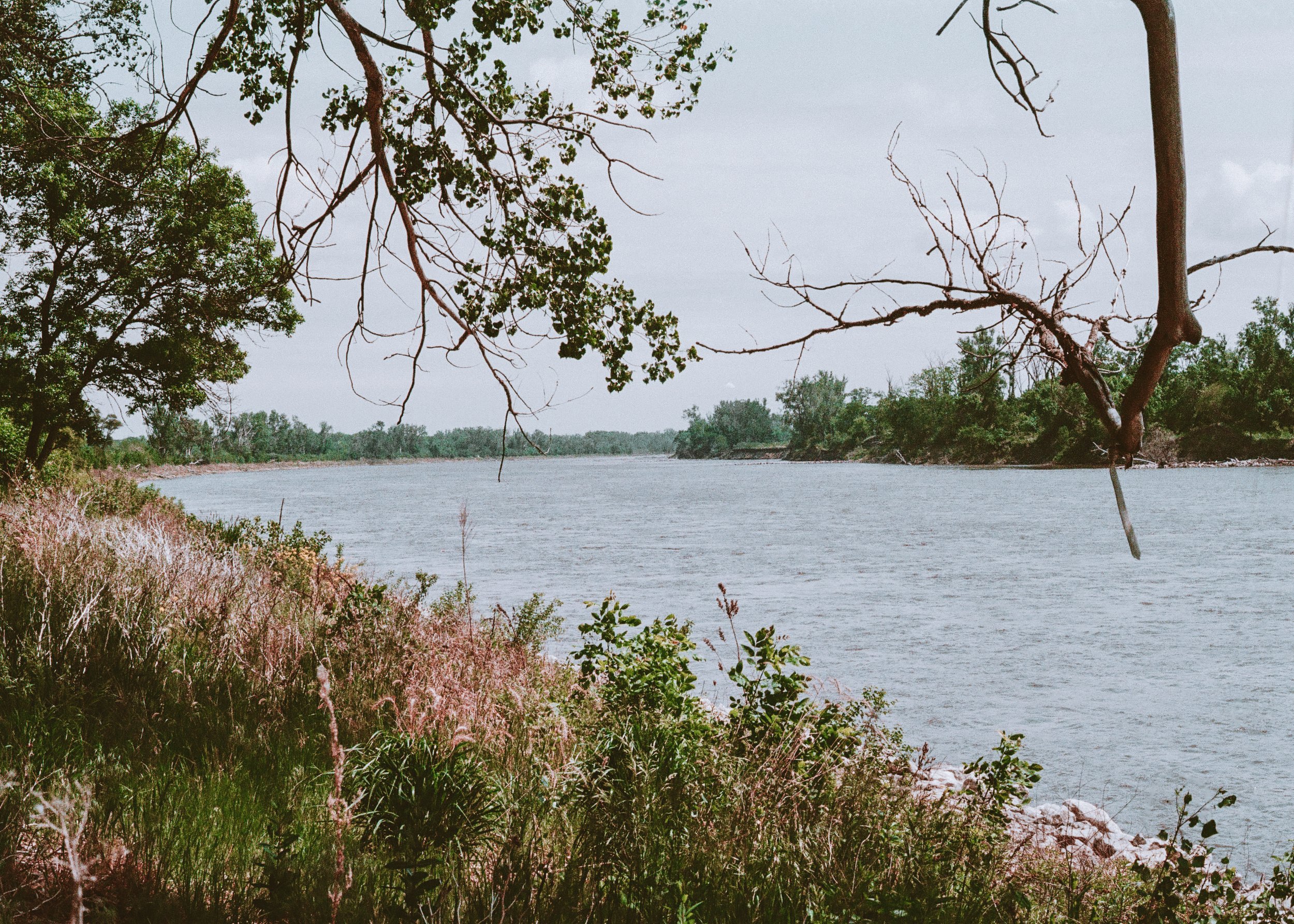 A riverside scene with overhanging tree branches, some with green leaves and some bare, along with bushes and grasses near the water, and a cloudy sky in the background.