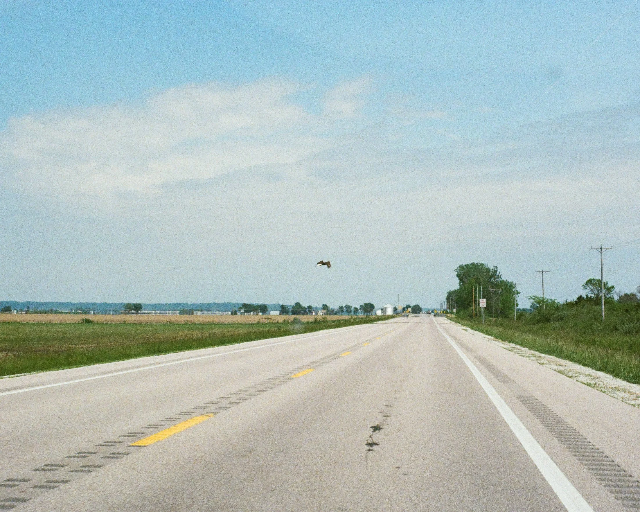 000526770003-2.jpg