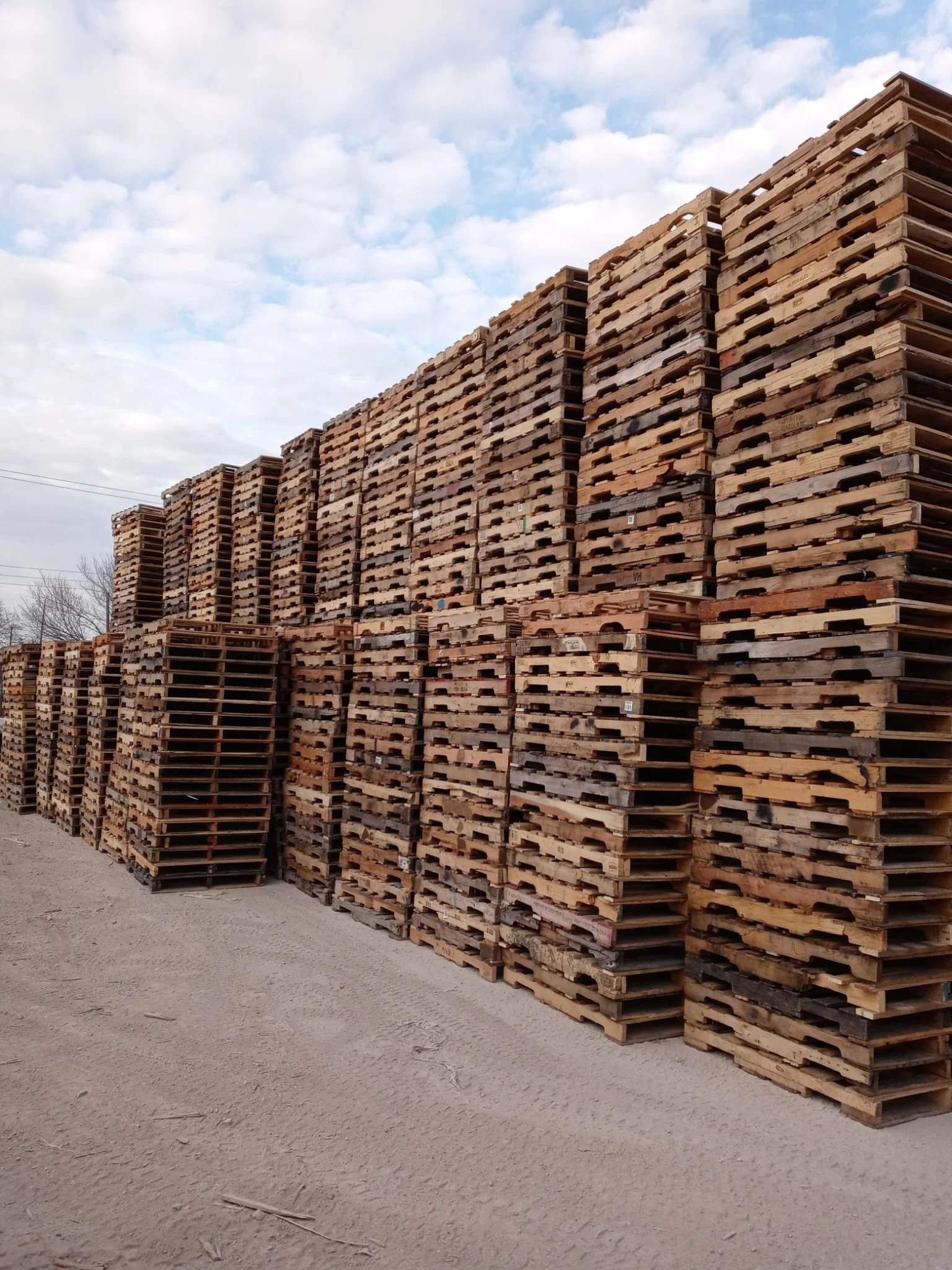 WhatsApp Image 2026-01-15 at 10.50.17 AM.jpeg