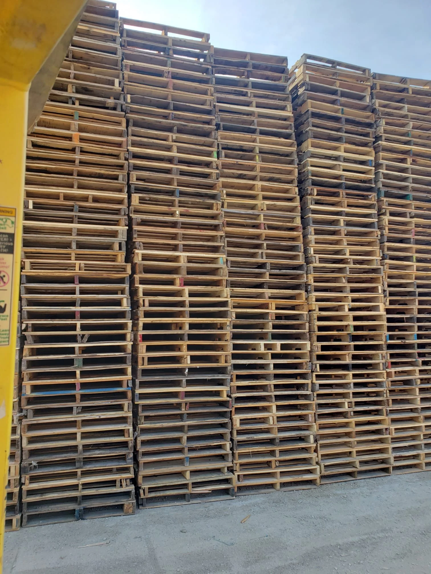 WhatsApp Image 2026-01-15 at 11.09.40 AM.jpeg