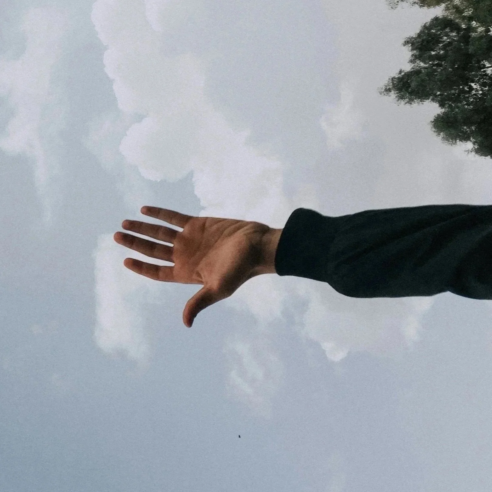 Compassionate Inquiry Therapy Session