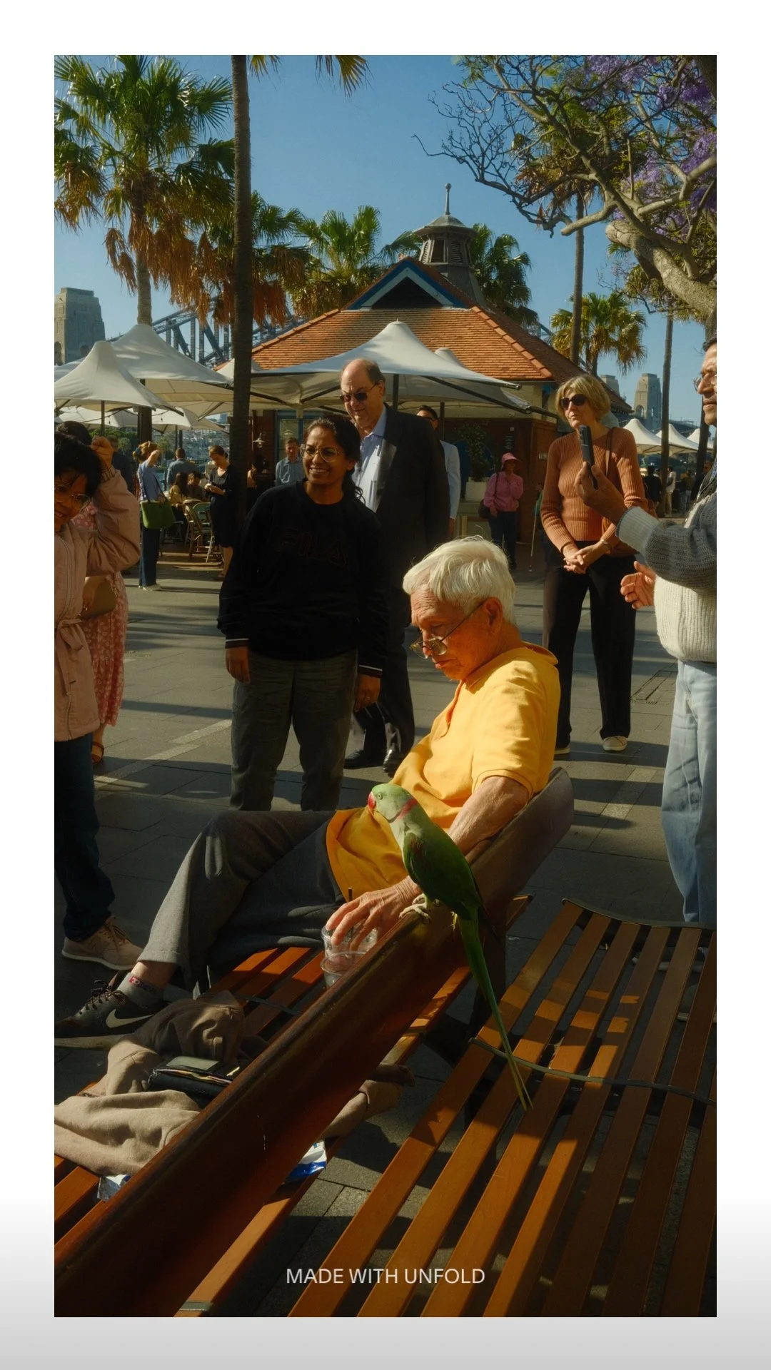 Older man with white hair and glasses seated on a wooden park bench, holding a green and red parrot on his lap, with several people standing around him in an outdoor setting with palm trees and a small building in the background.