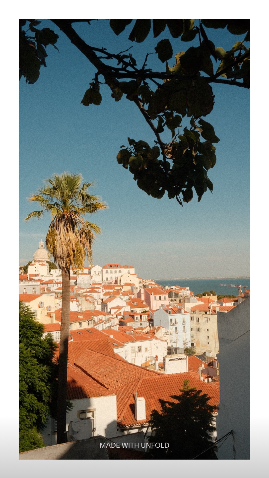 View of a cityscape with white buildings and red-tiled roofs, a tall palm tree, and a portion of the ocean in the background, under a partly cloudy sky.