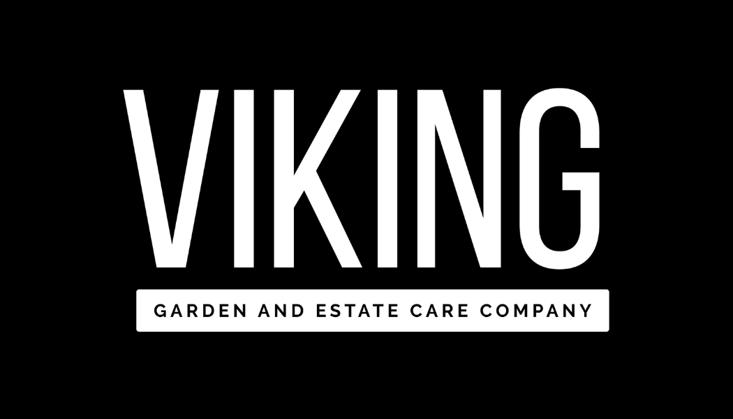 branding for cornwall businesses