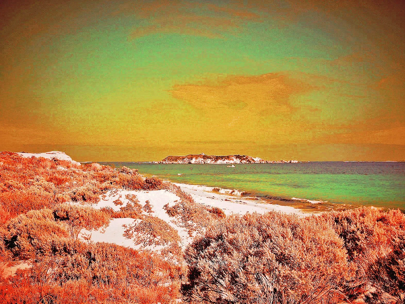 margaret river April 2010 088 (4)-3.jpg