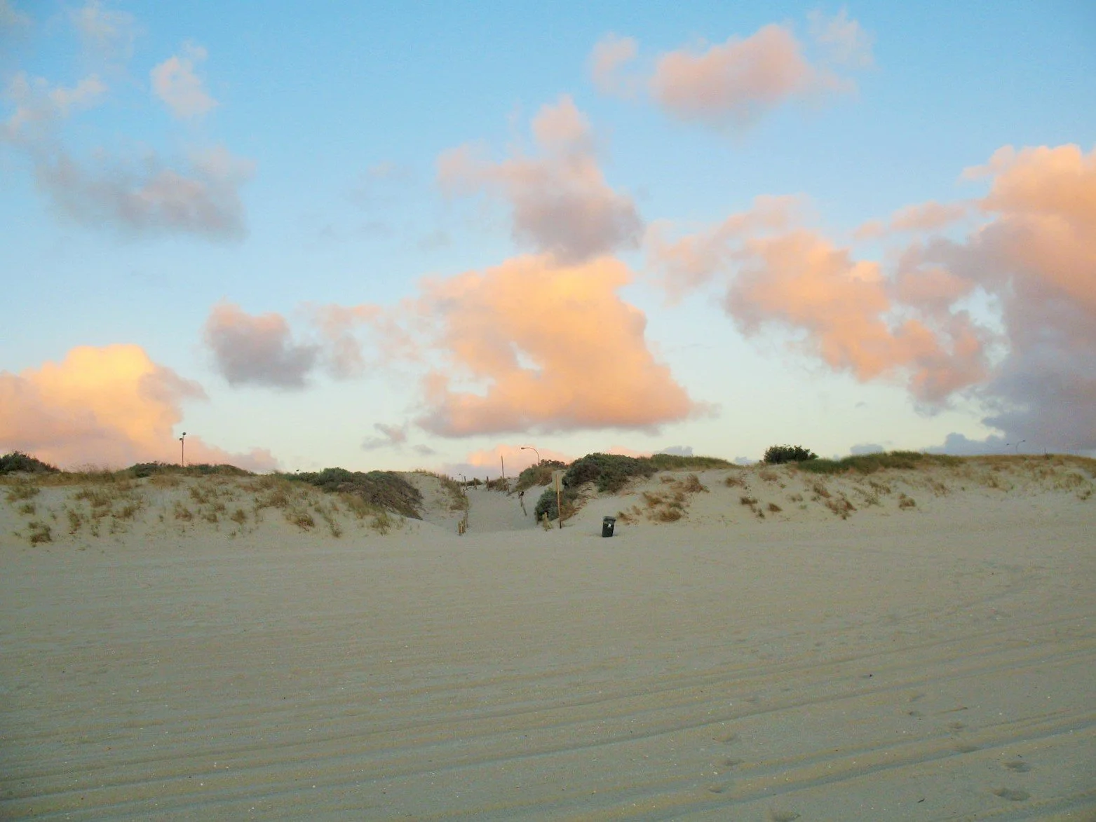 When the Market Mislabels a Giant: Why Microsoft Isn’t ‘Software’