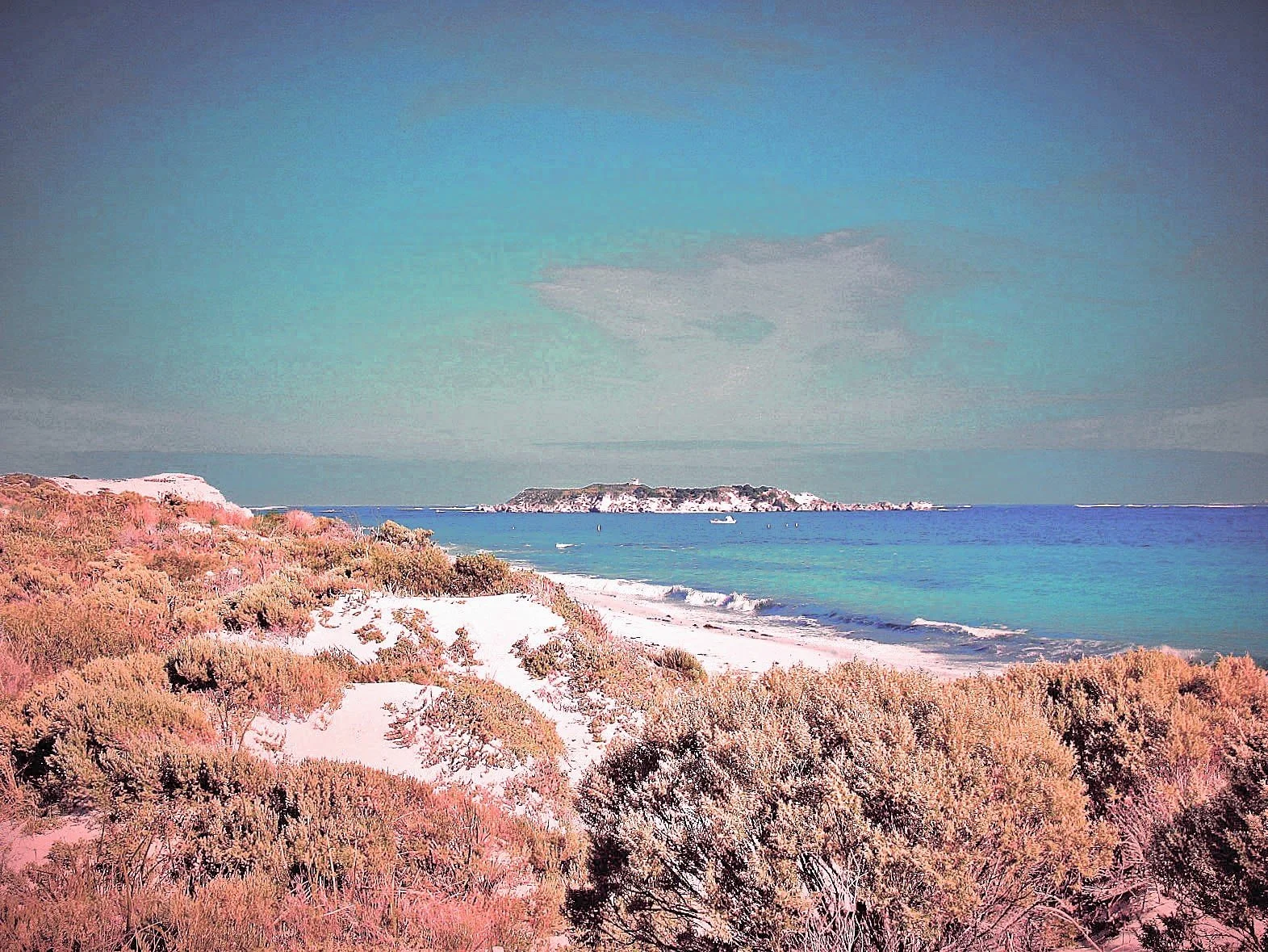 margaret river April 2010 088 (4).jpg