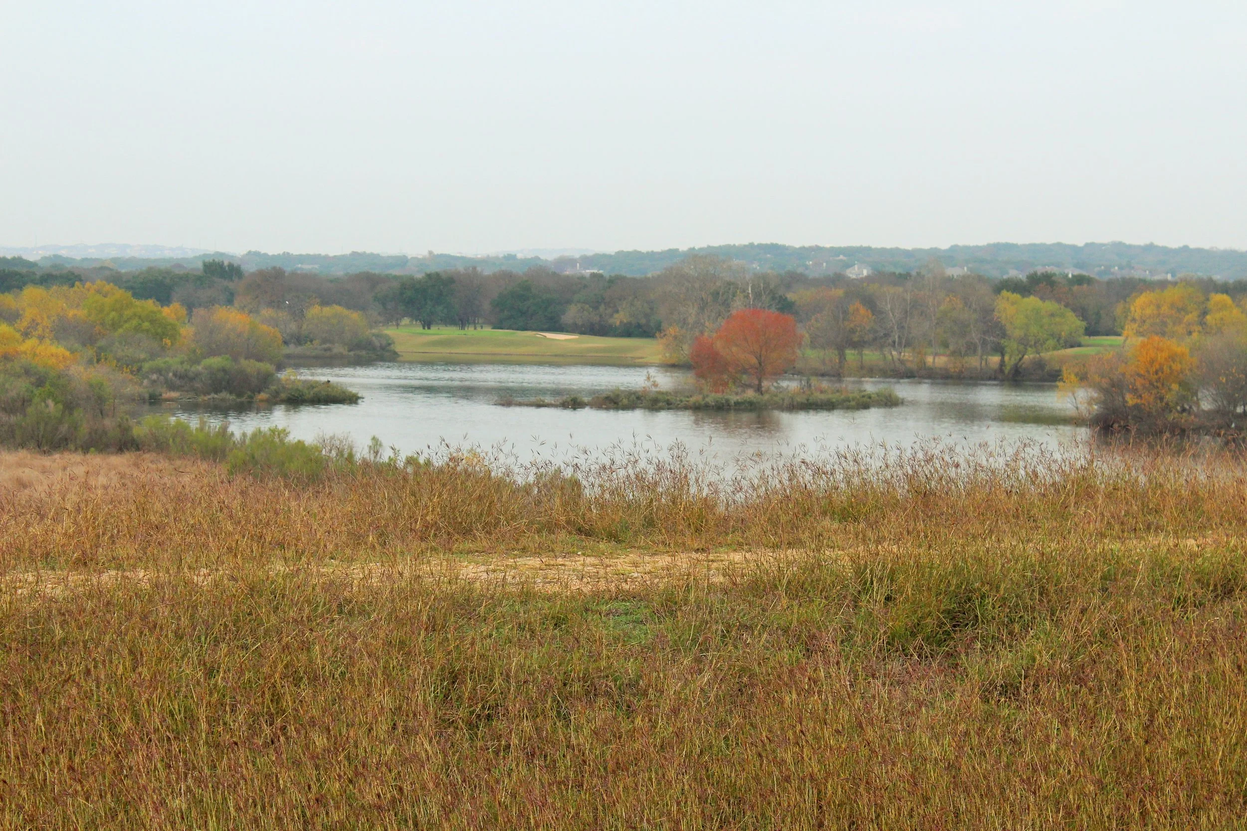 The Hydrologic Shield: Harnessing Hydrology and Collective Insight to Moderate Wildfire