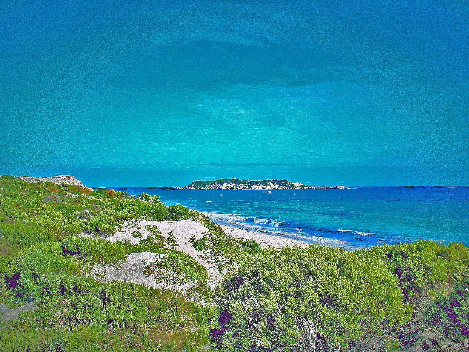 margaret river April 2010 088 (5).jpg