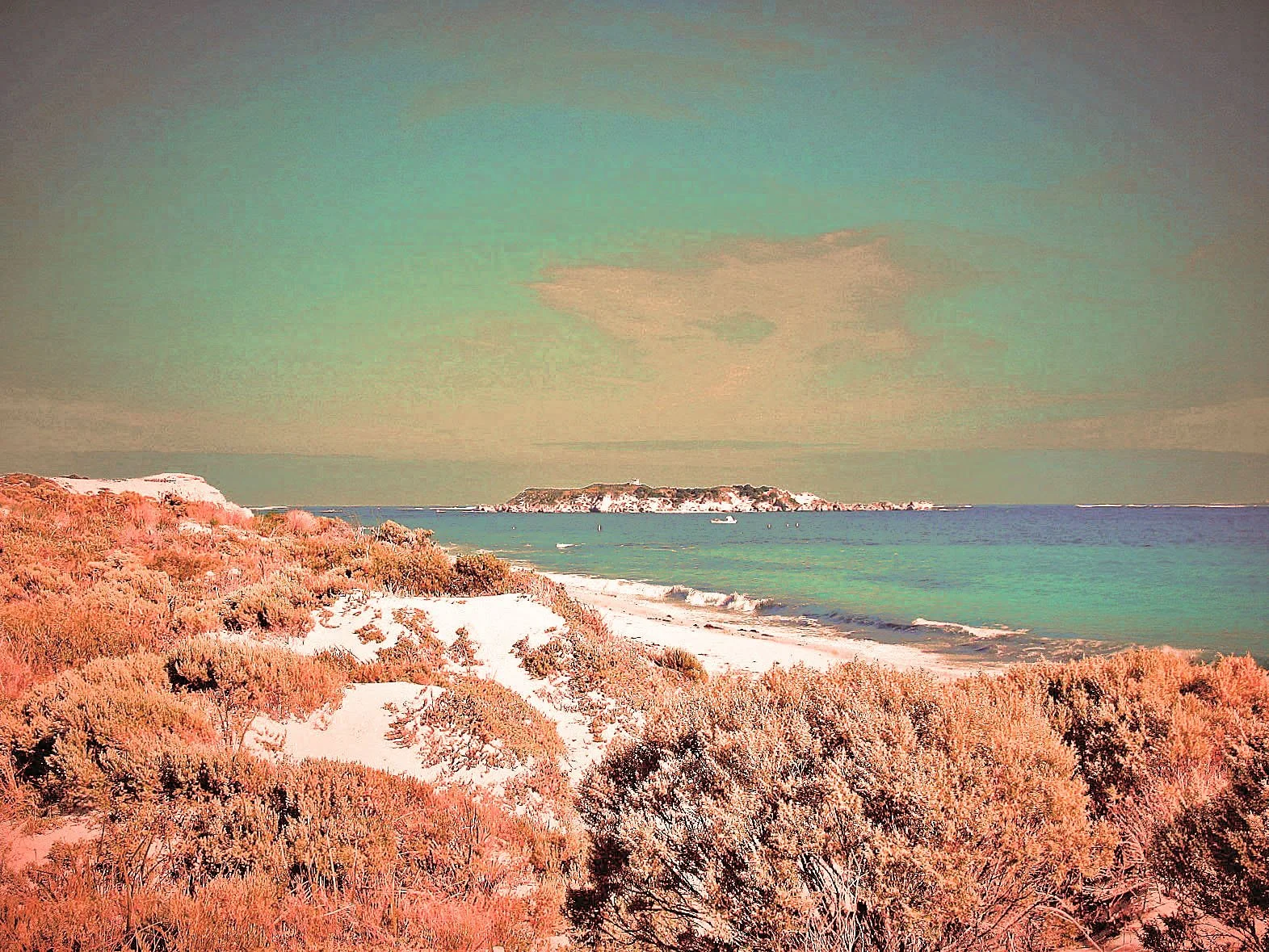 margaret river April 2010 088 (4)-1.jpg