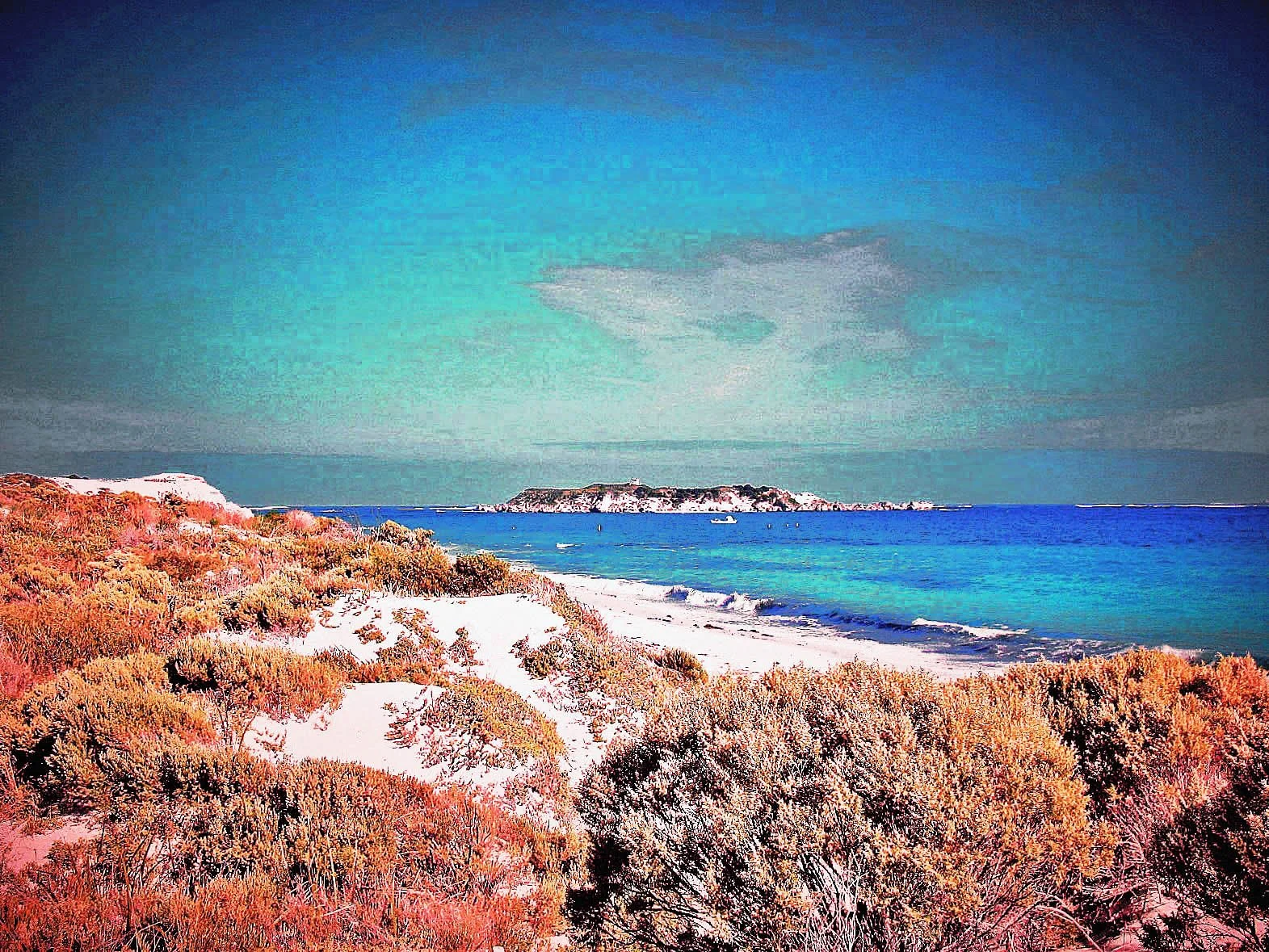 margaret river April 2010 088 (4)-5.jpg