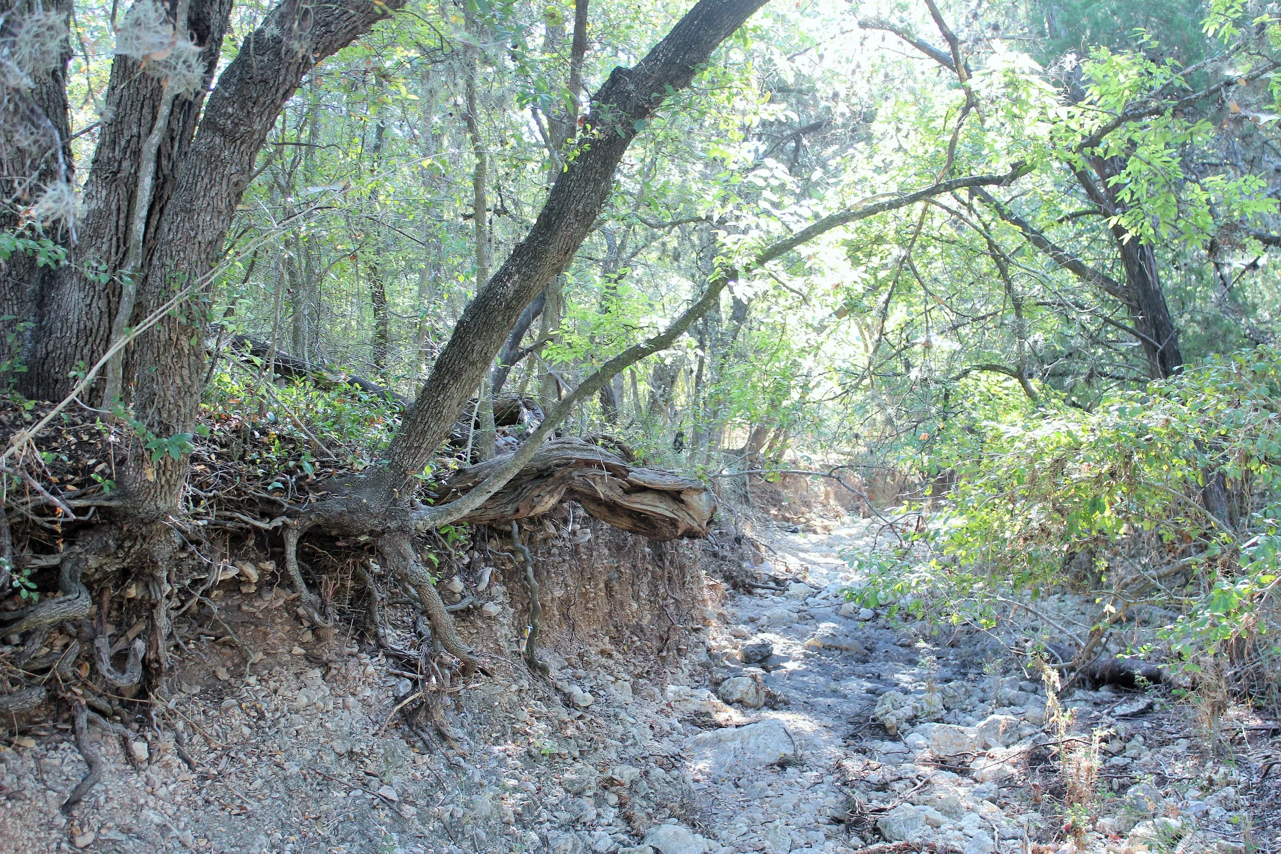 Pilot Framework for Advancing Fire Adapted Communities