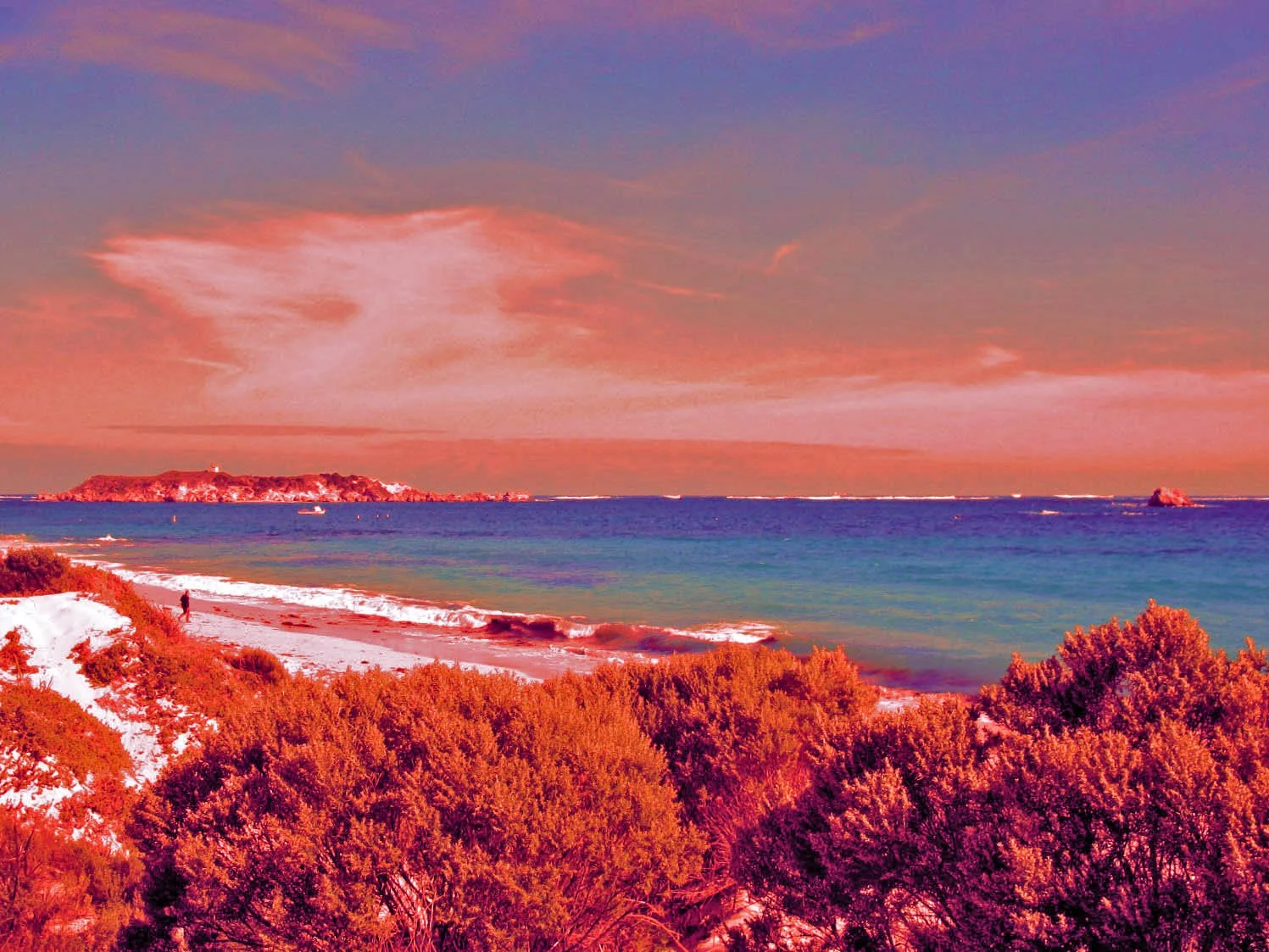 margaret river April 2010 085-2781.jpg