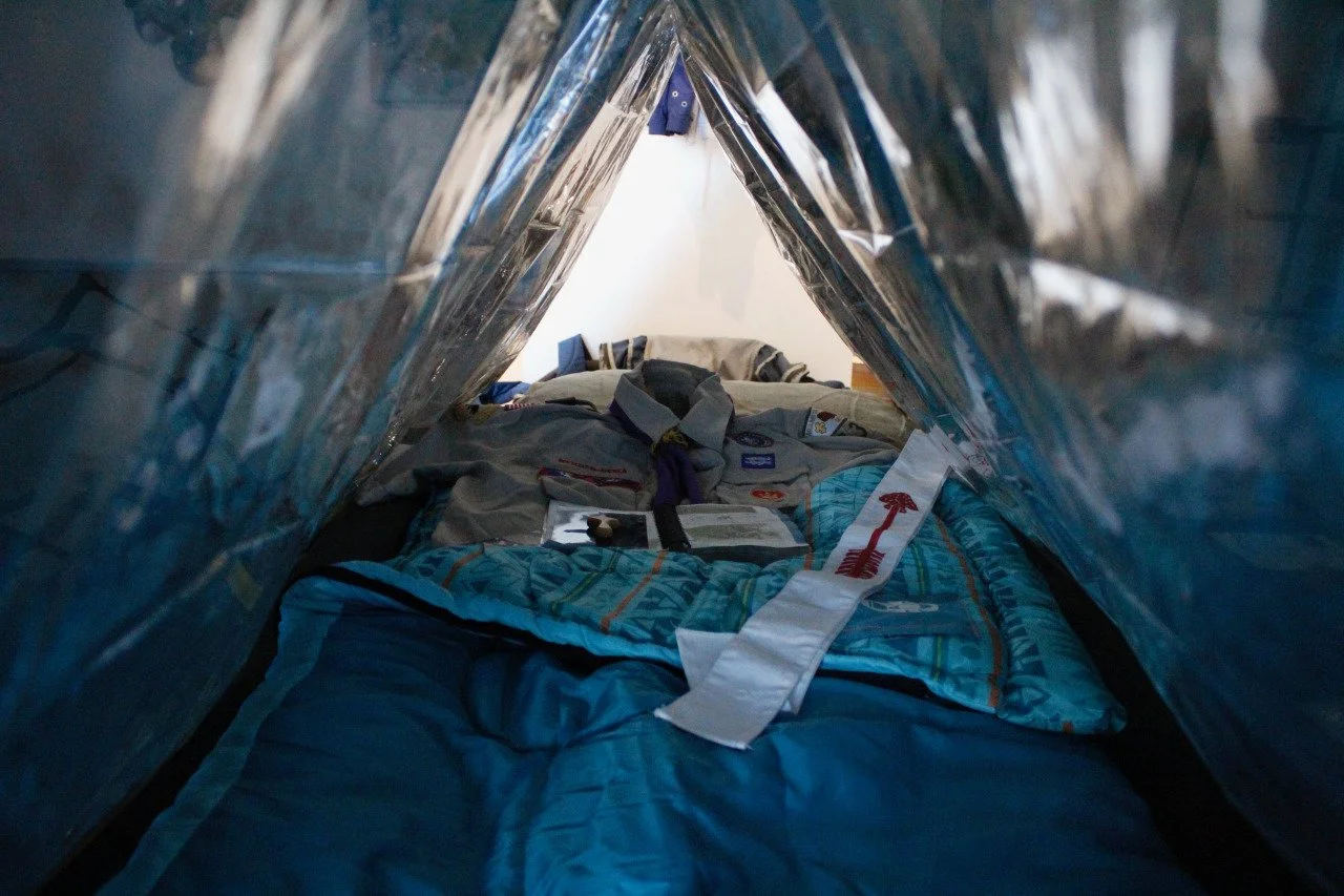 Buzzard's Roost_detail1.jpg