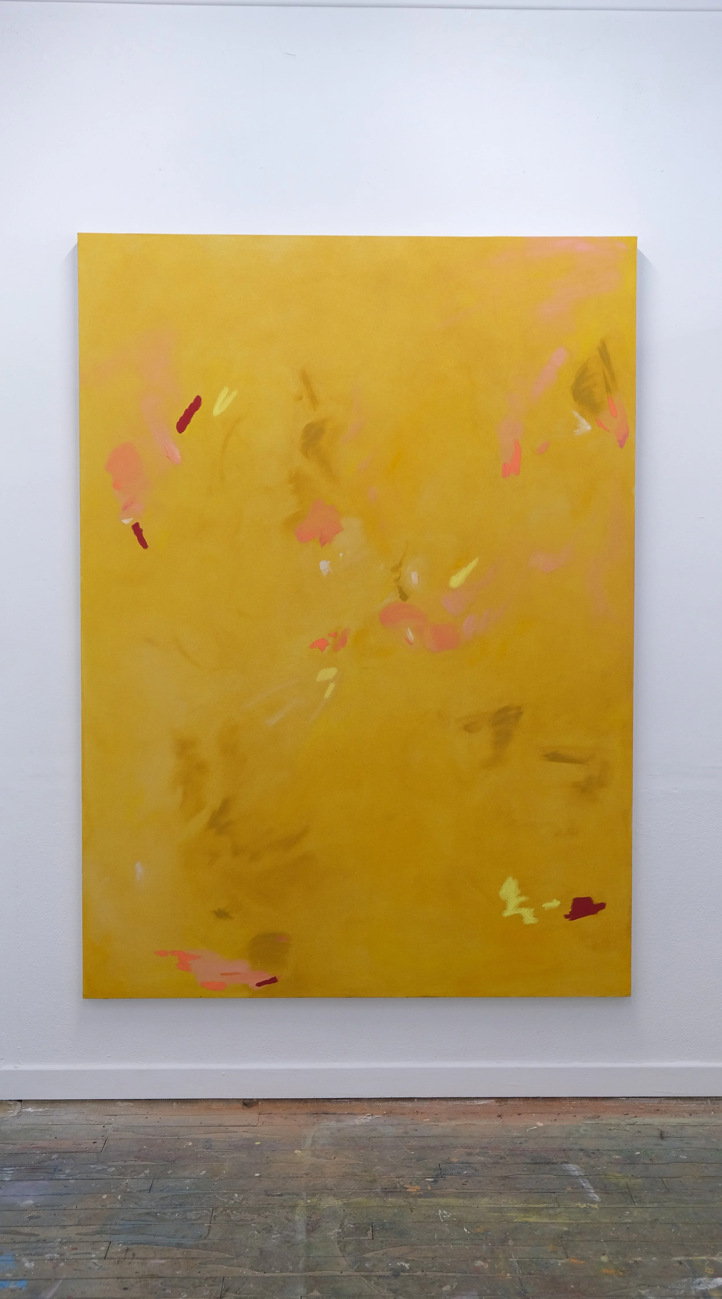 'Peated' 2025,

Oil on Canvas

220 x 160 cm