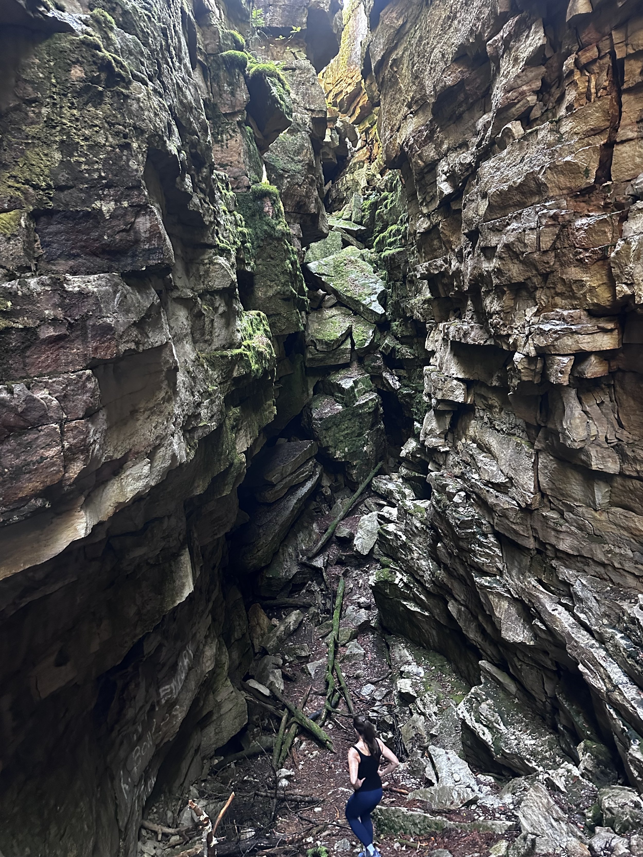 IMG_4722 copy.jpg