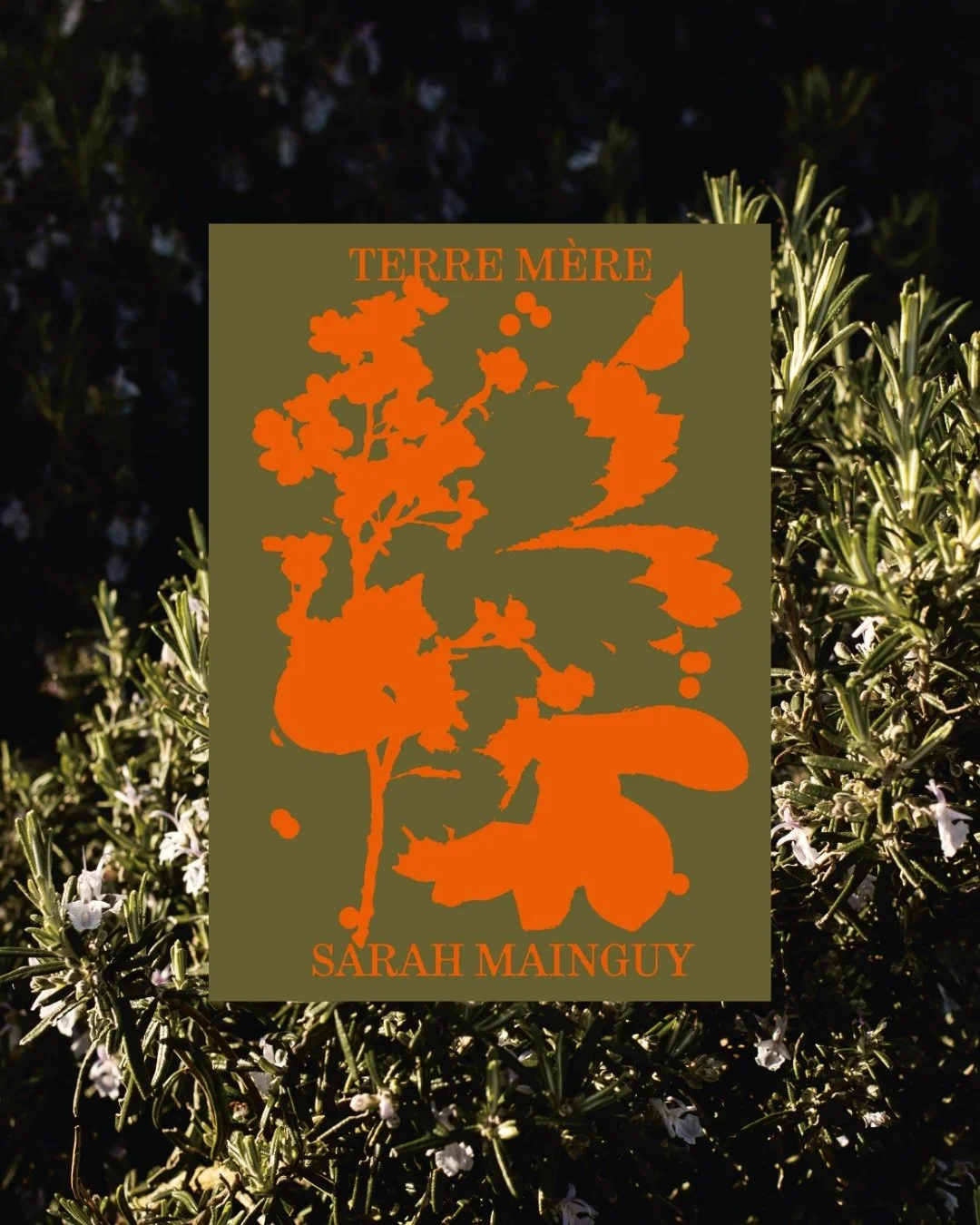 Contribution éditoriale - Terre Mère