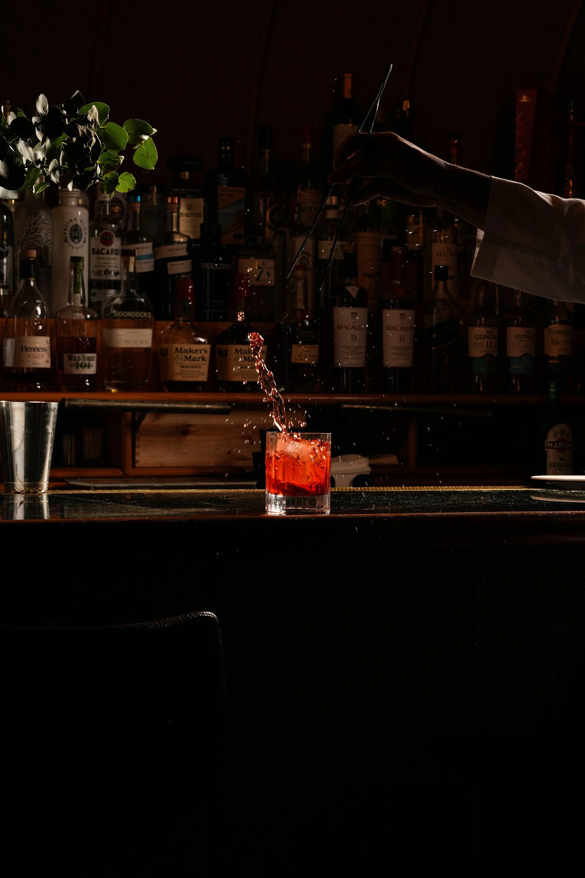 San Lorenzo bartender