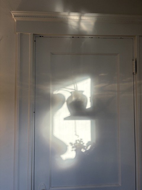 IMG_4488 Medium.jpeg