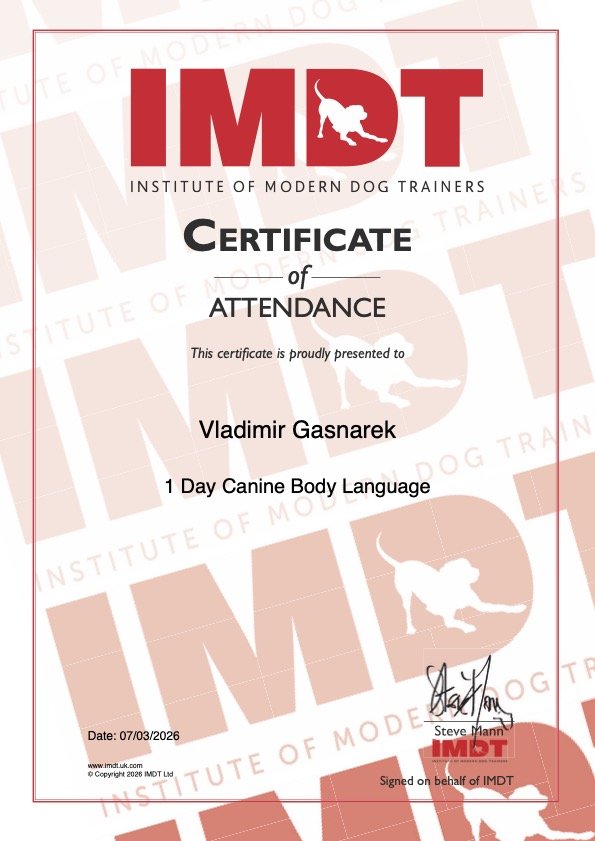 Certificate from the Institute of Modern Dog Trainers awarded to Vladimir Gasnarek for completing 1 day of canine body language training, dated July 3, 2026.