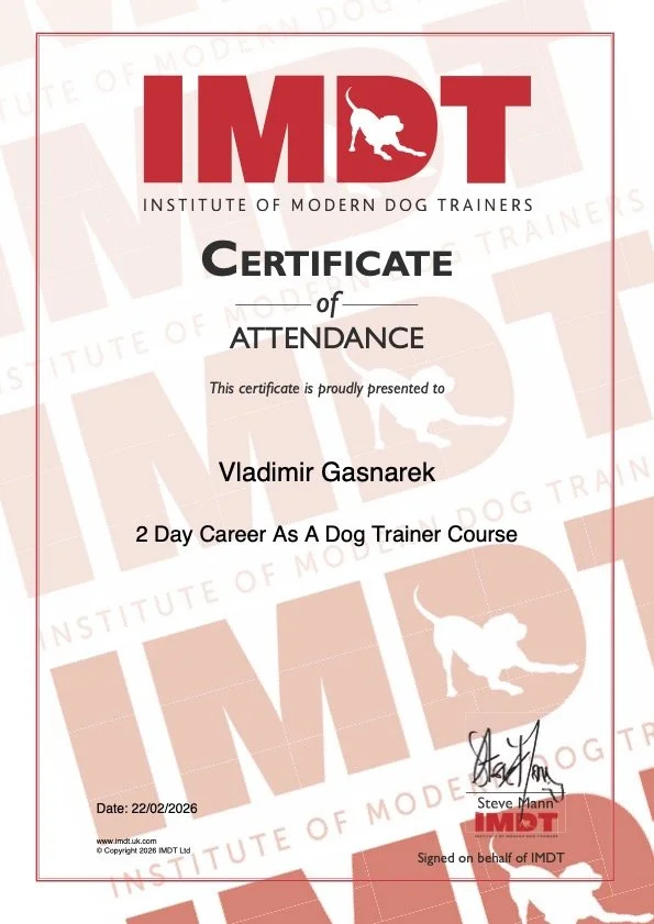 Certificate of attendance from the Institute of Modern Dog Trainers awarded to Vladimir Gasnarek for completing a 2-day dog trainer course, dated February 22, 2026.