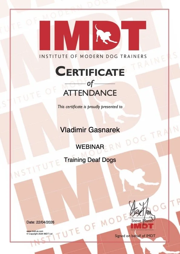 Certificate from the Institute of Modern Dog Trainers awarded to Vladimir Gasnarek for attending a webinar on training deaf dogs, dated April 22, 2026.