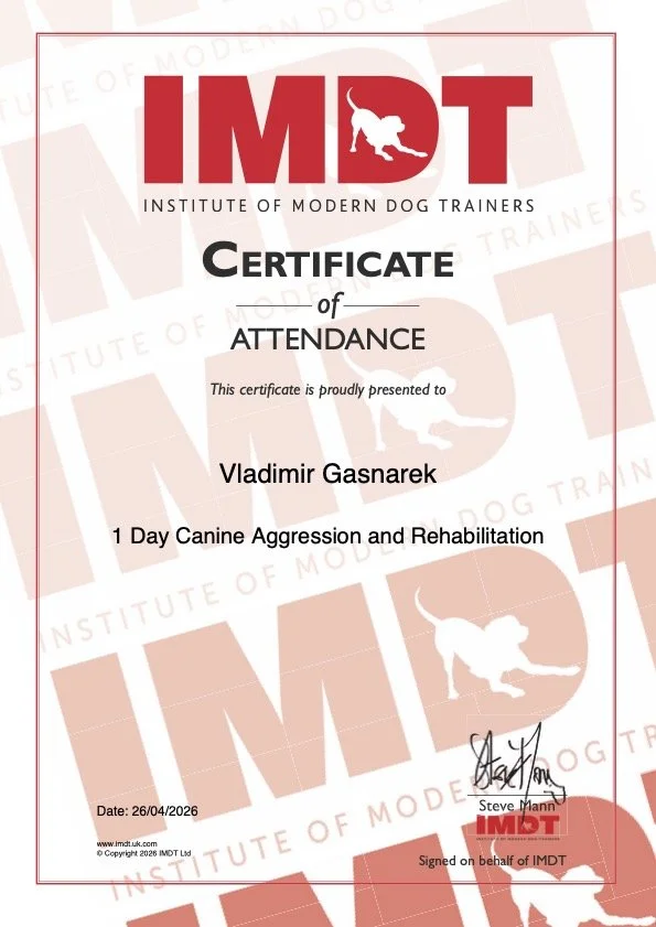Certificate from the Institute of Modern Dog Trainers awarded to Vladimir Gasnarek for one day of canine aggression and rehabilitation training, dated April 26, 2026, signed by Steve Mann.