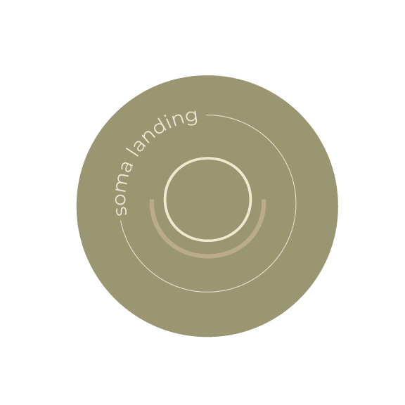 Diagram illustrating the stages of successful landing, with the phrase 'soma landing' and concentric circles representing different phases.