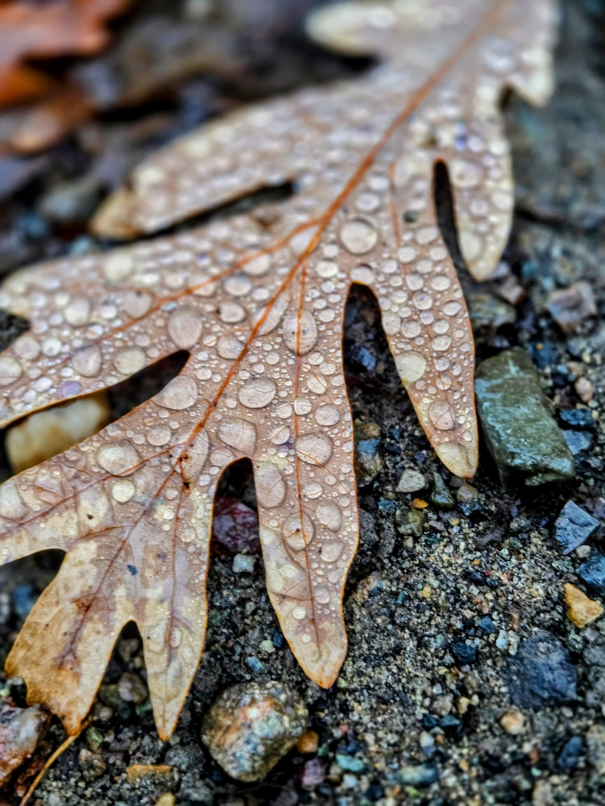 20251029_171908-EDIT.jpg