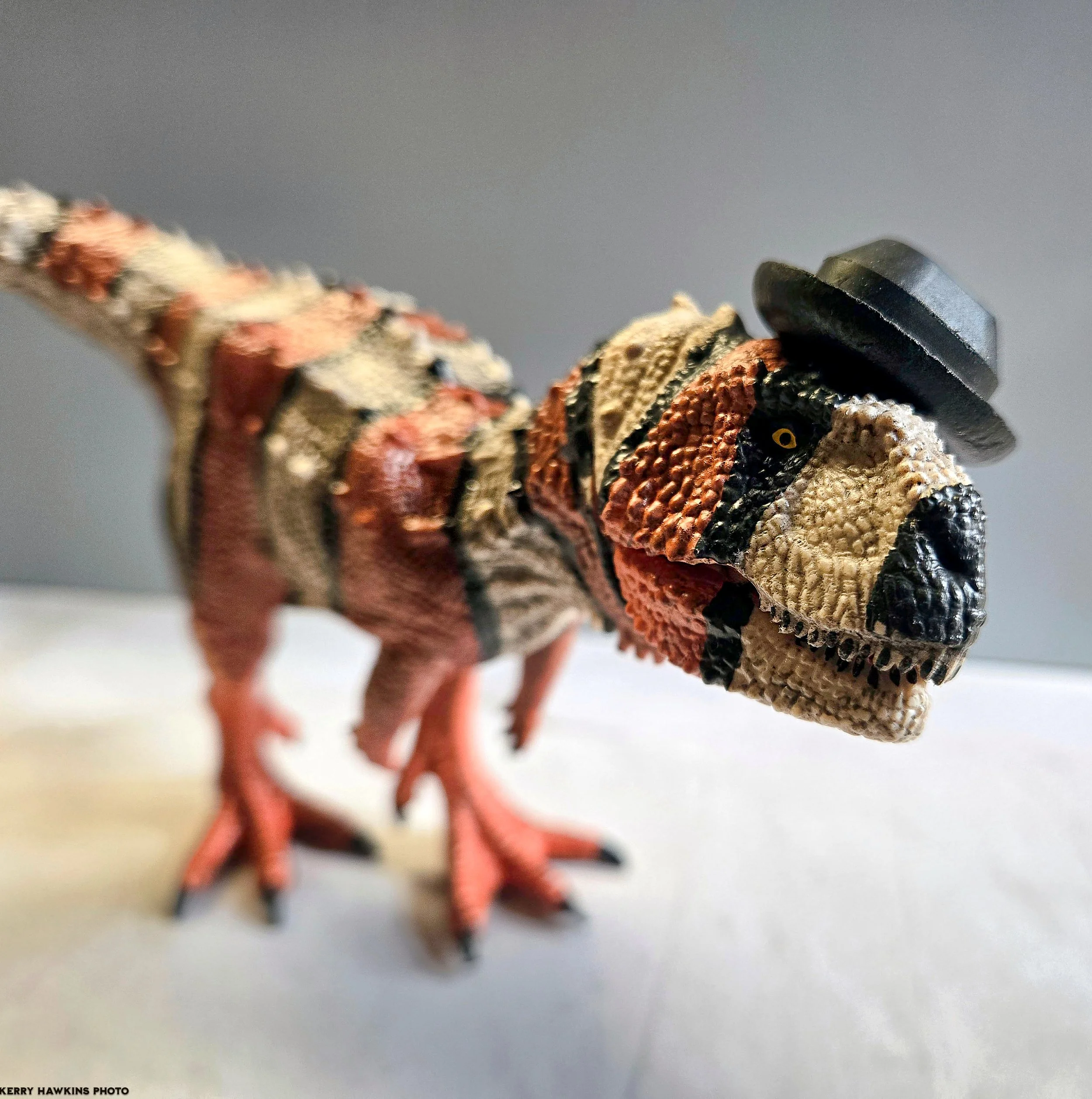 Kerry_Hawkins work-124.jpg