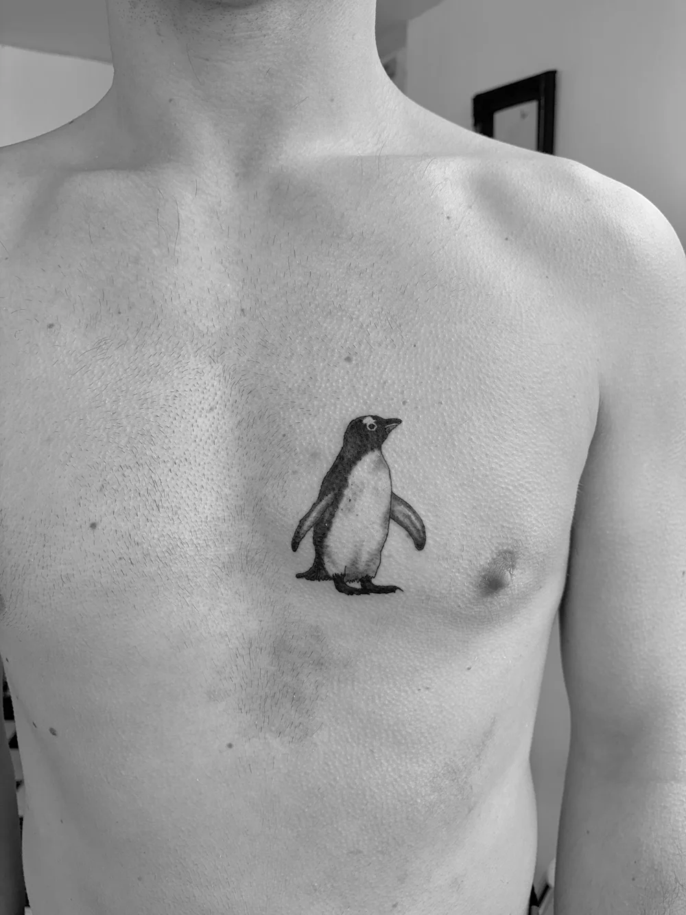 Small penguin tattoo on a chest