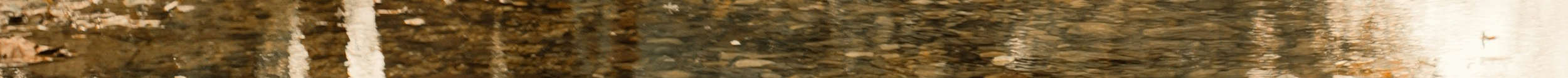 Autumn creek reflection, Still Creek Therapy