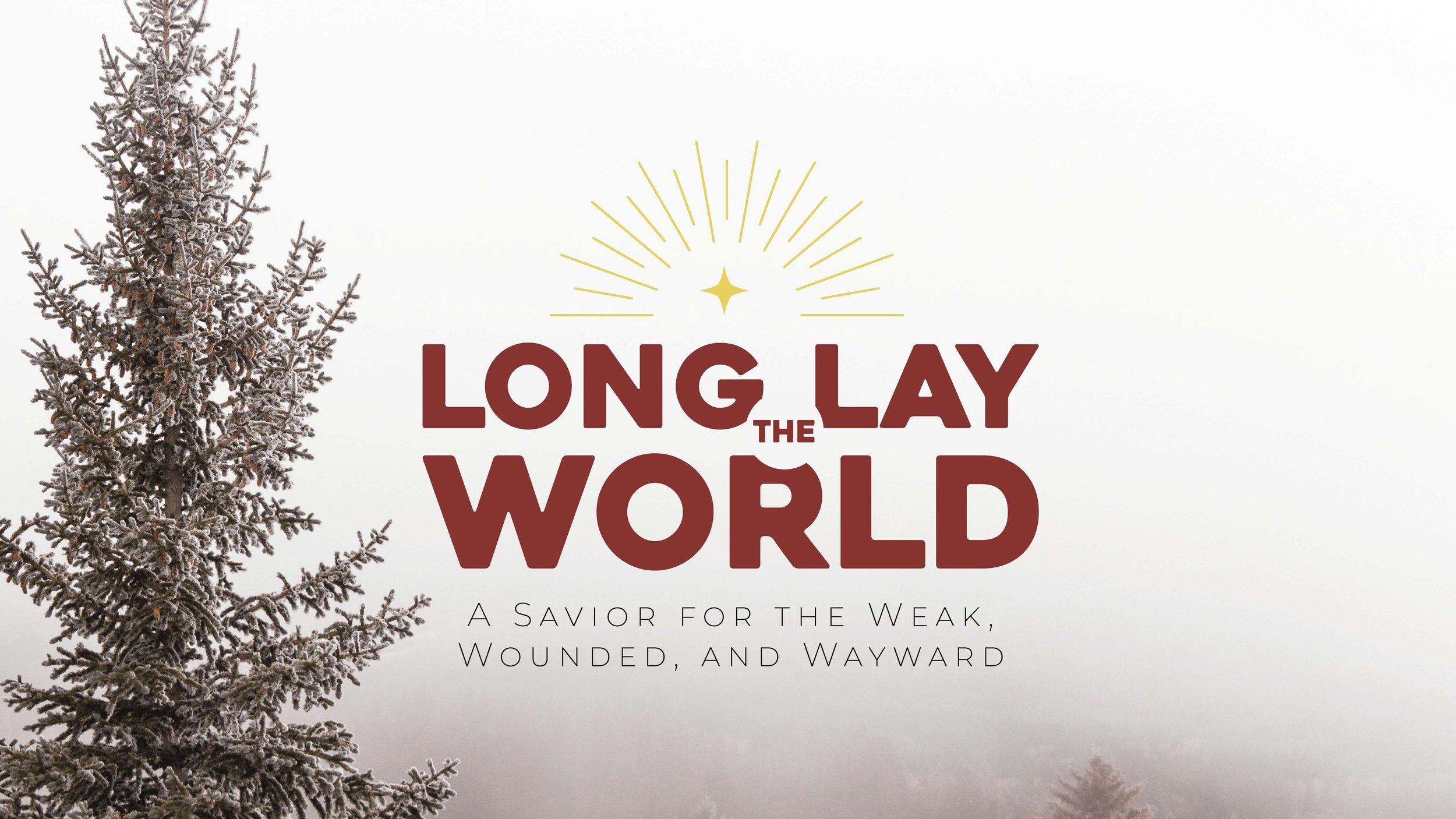 O Come All Ye Faithful - Luke 1-2