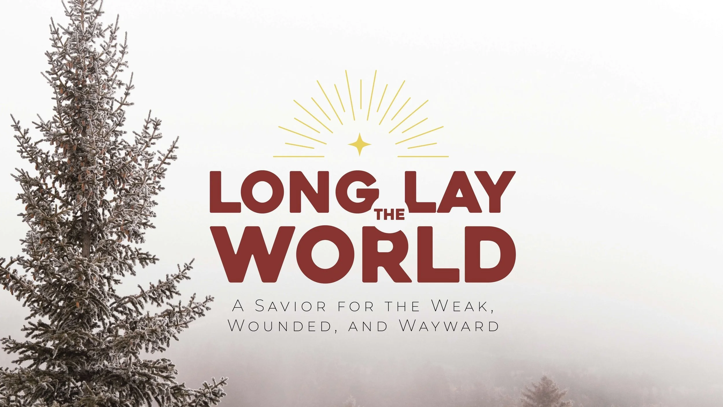 A Savior for the Waiting - Isaiah 25