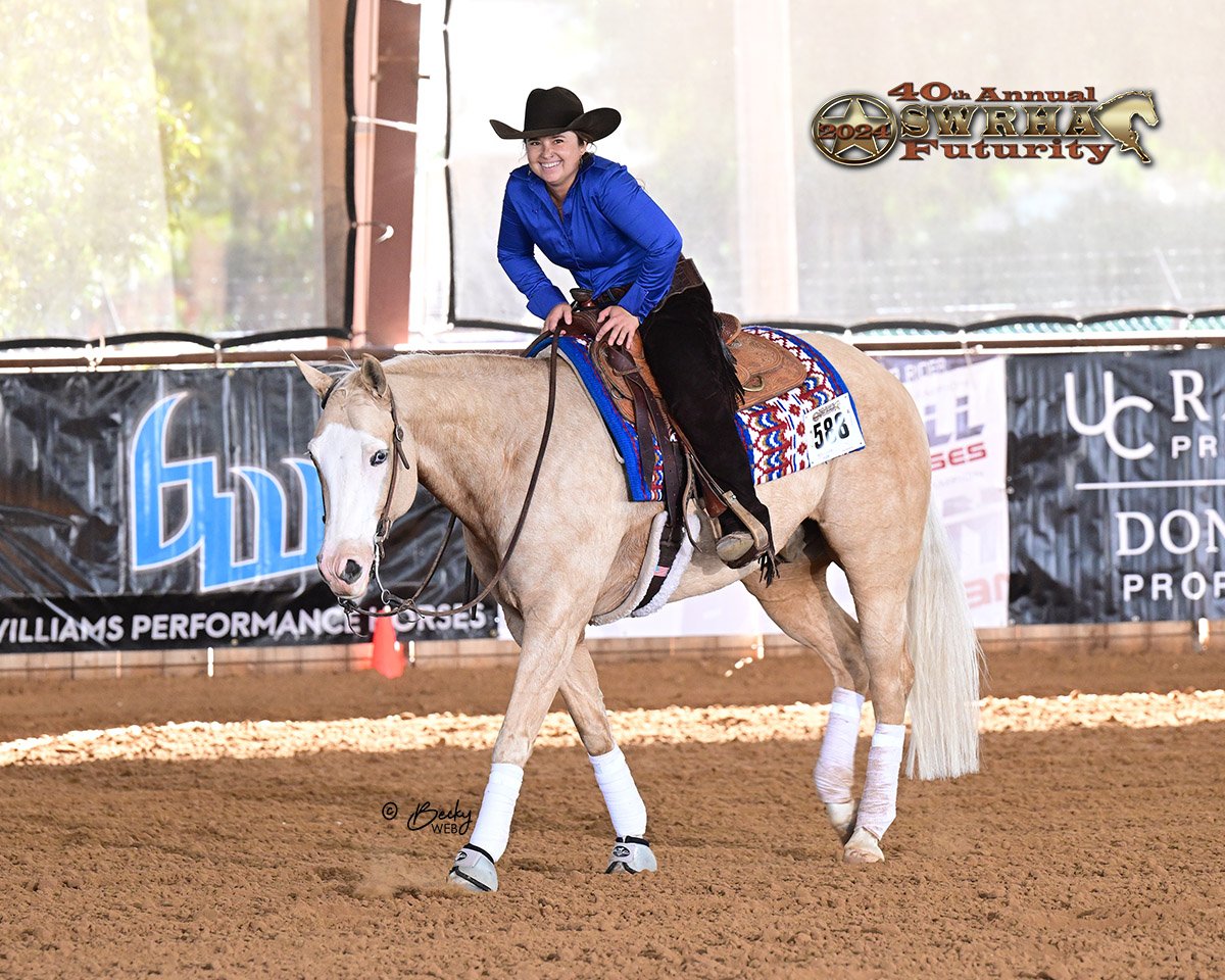 reining ranch horse training riding lessons shows knebl equine