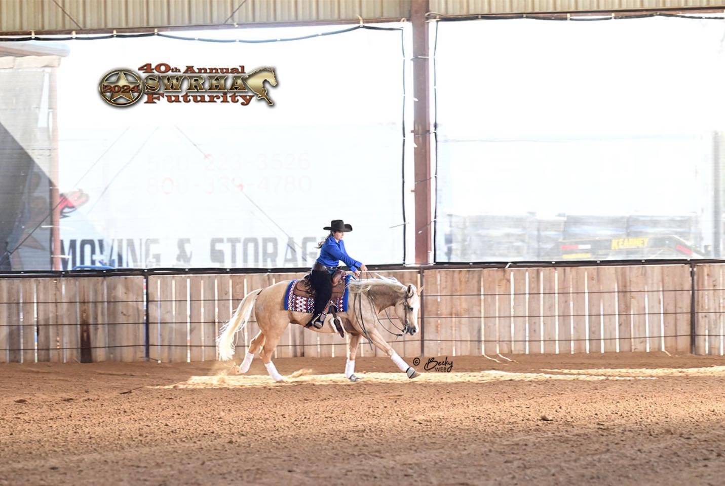 reining ranch horse training riding lessons shows knebl equine