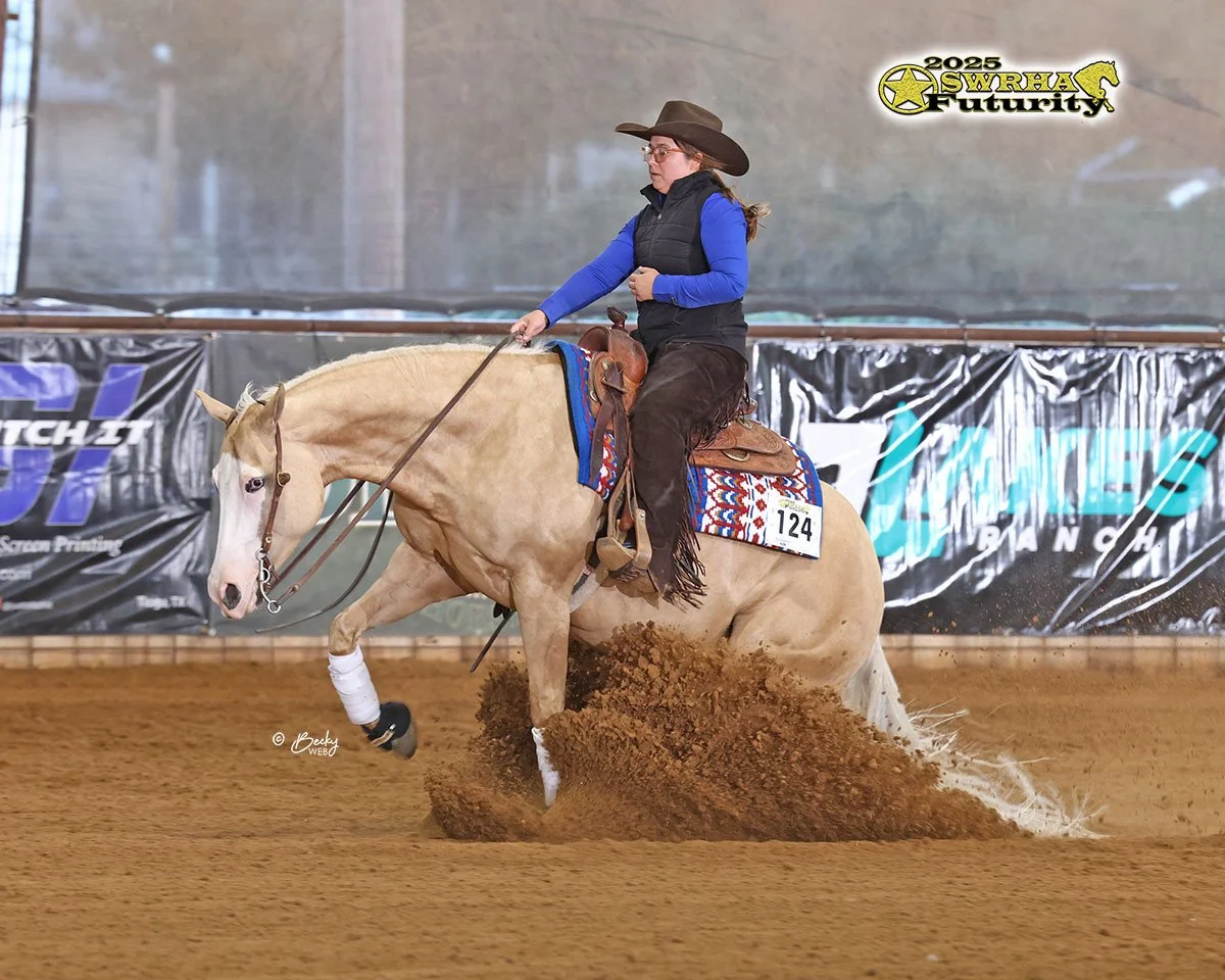 reining ranch horse training riding lessons shows knebl equine