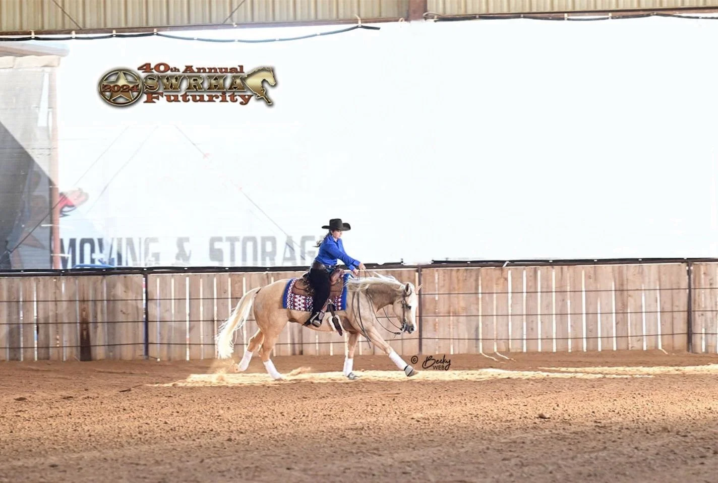 reining ranch horse training riding lessons shows knebl equine