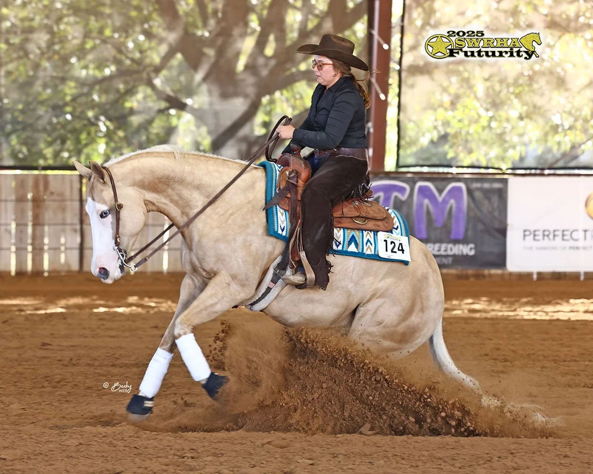 reining ranch horse training riding lessons shows knebl equine