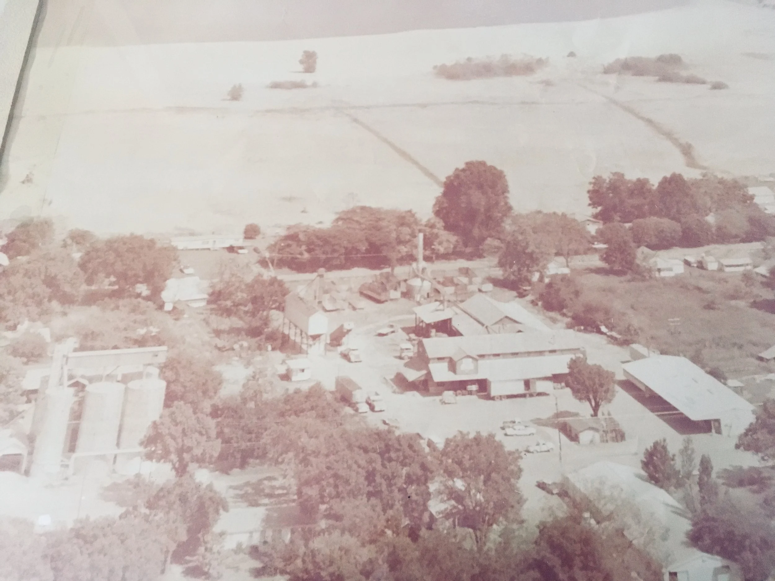 An aerial view from the 1970's of Yell County Gin in Dardanelle, Arkansas. A retired cotton gin, now tractor dealership located in a small rural community with several buildings, trees, and open fields.