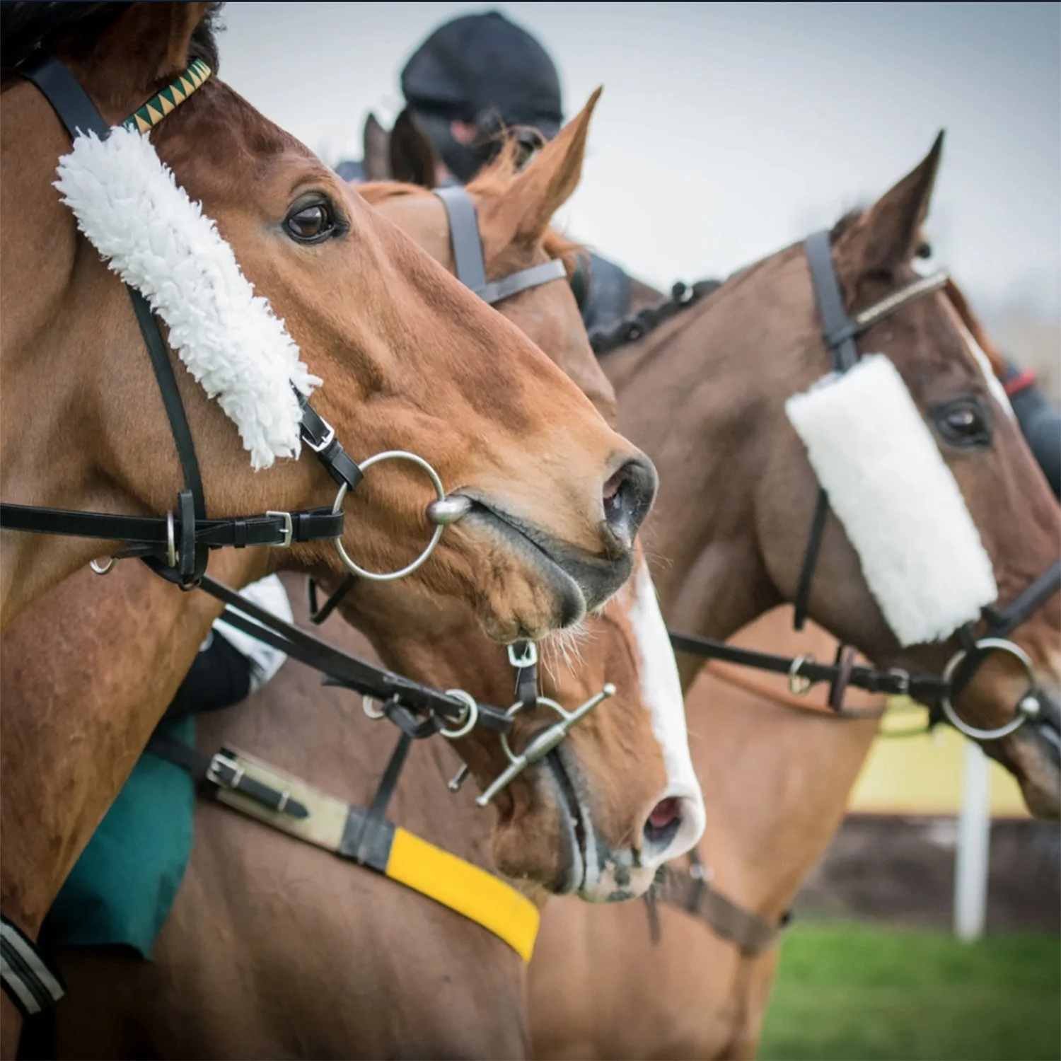 private helcopter to Ascot races