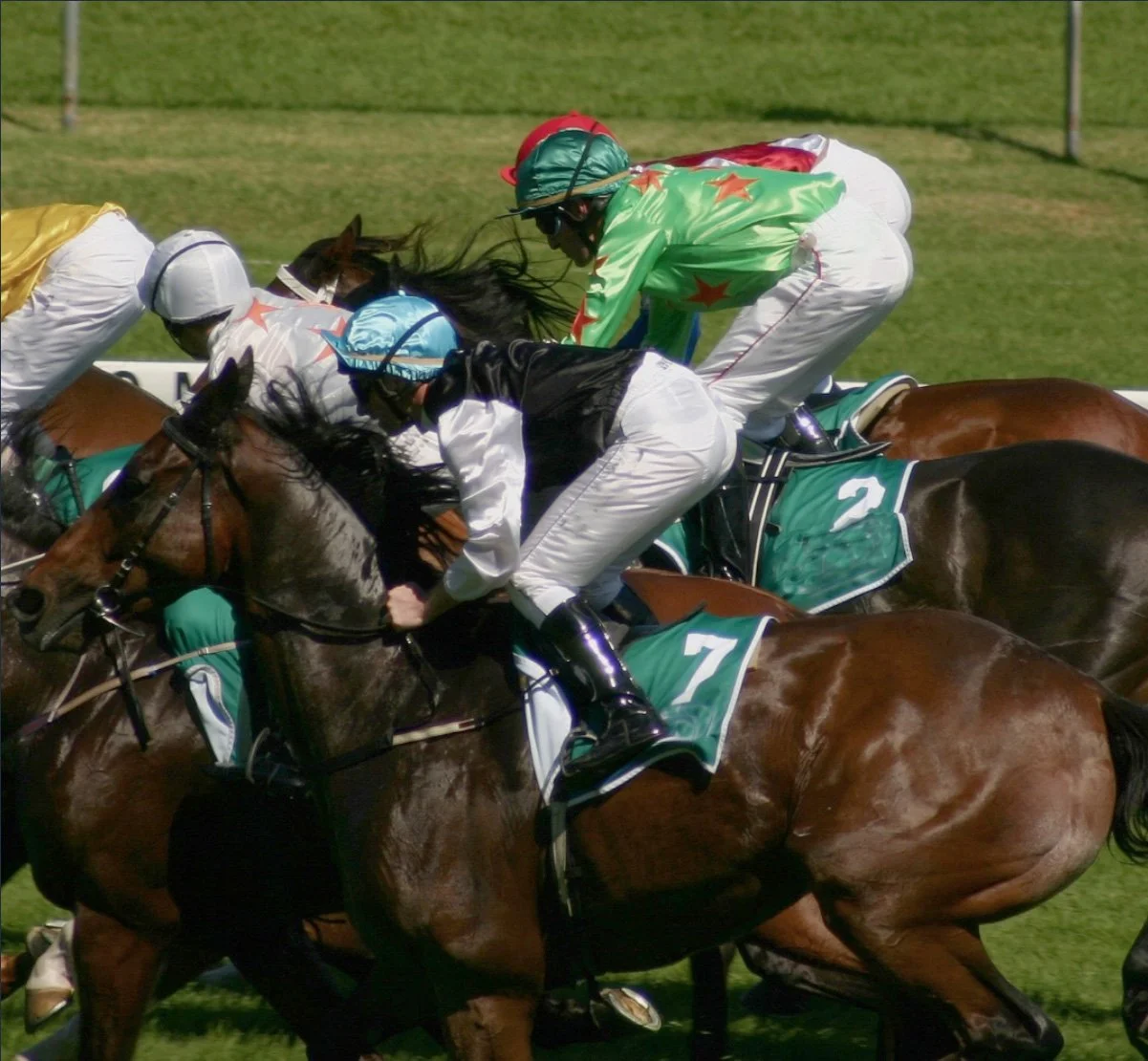 helicopter to cheltenham races