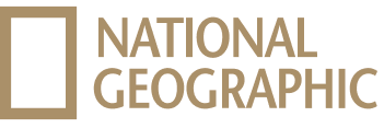 Logo 5.png