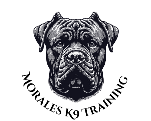 Morales K9 Training