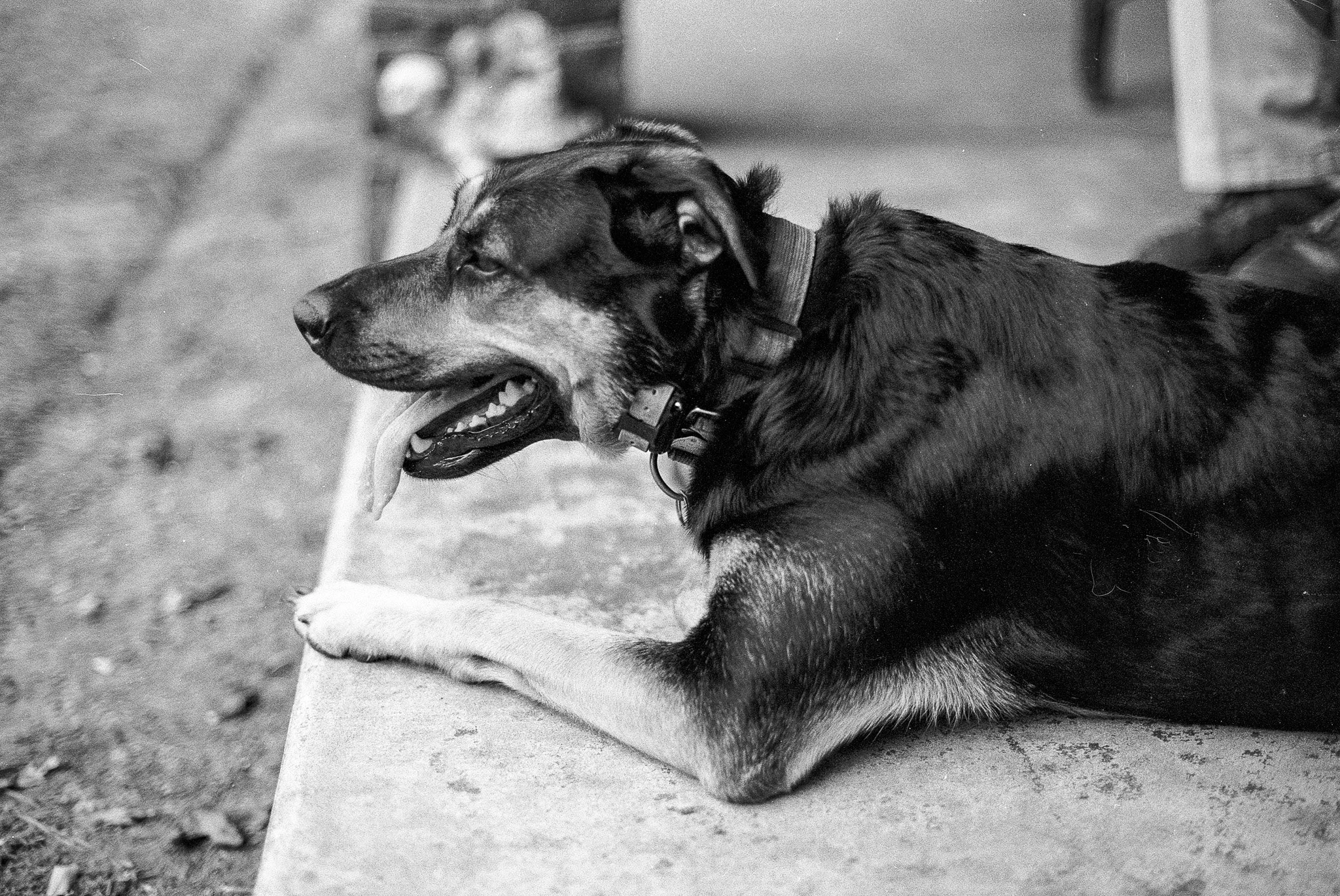 2026-01-03_k100 (9).JPG