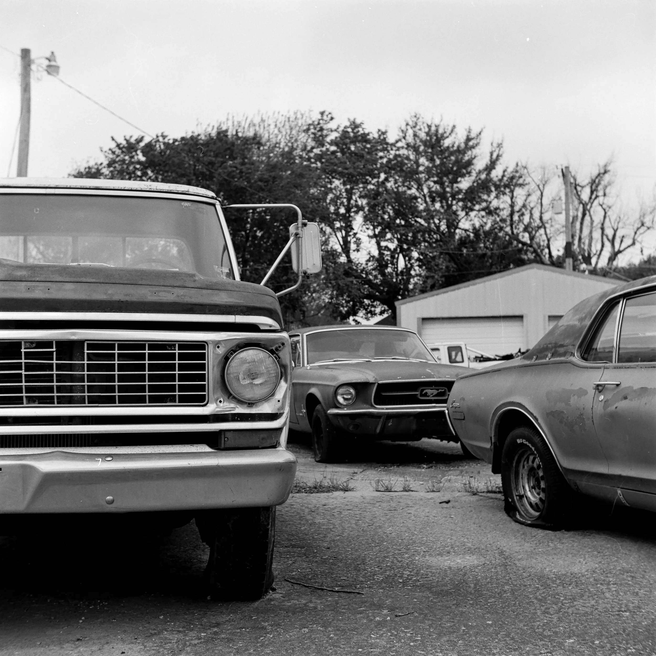 _D2A8673-Edit.JPG