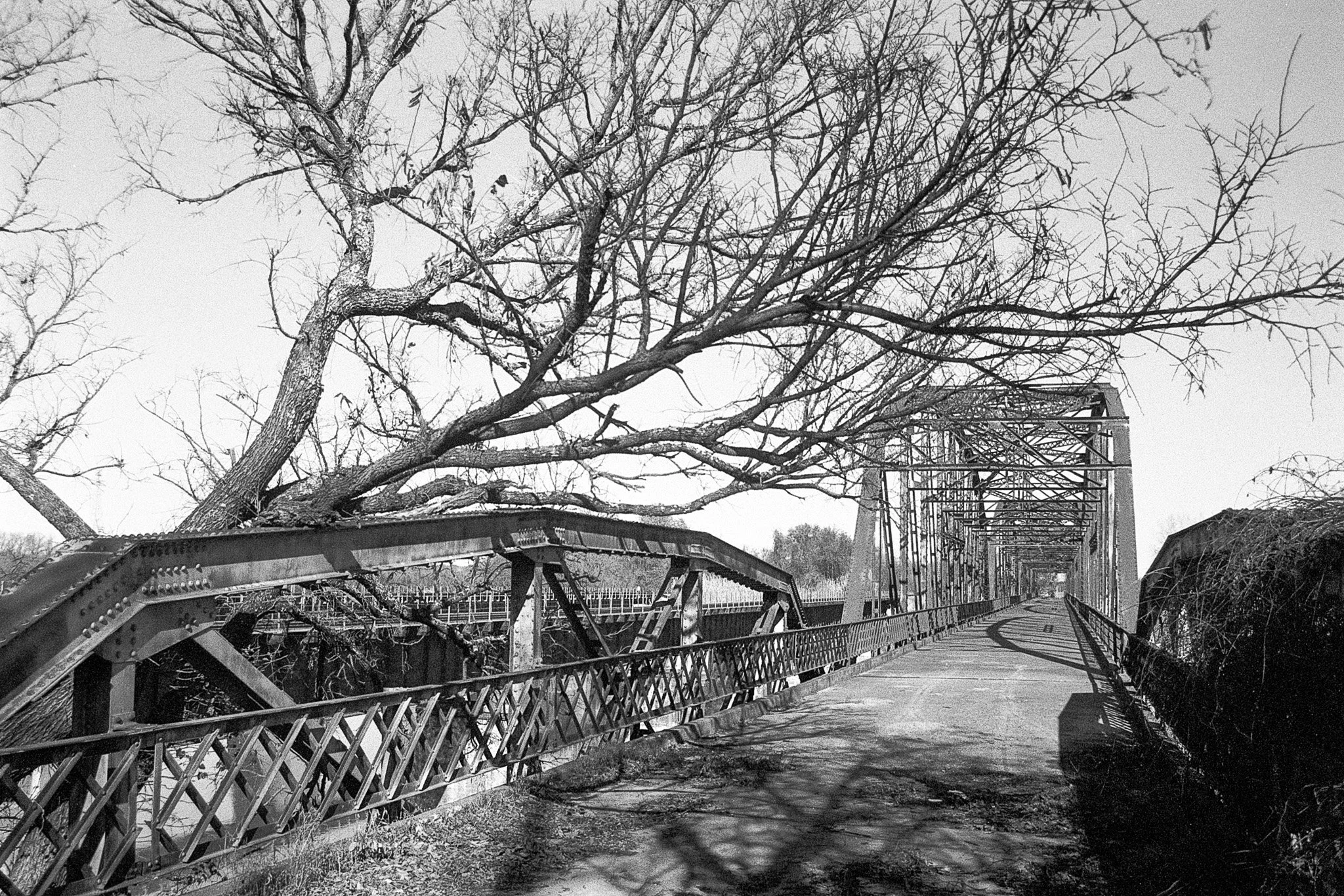 2025-11-27_k100 (41).JPG